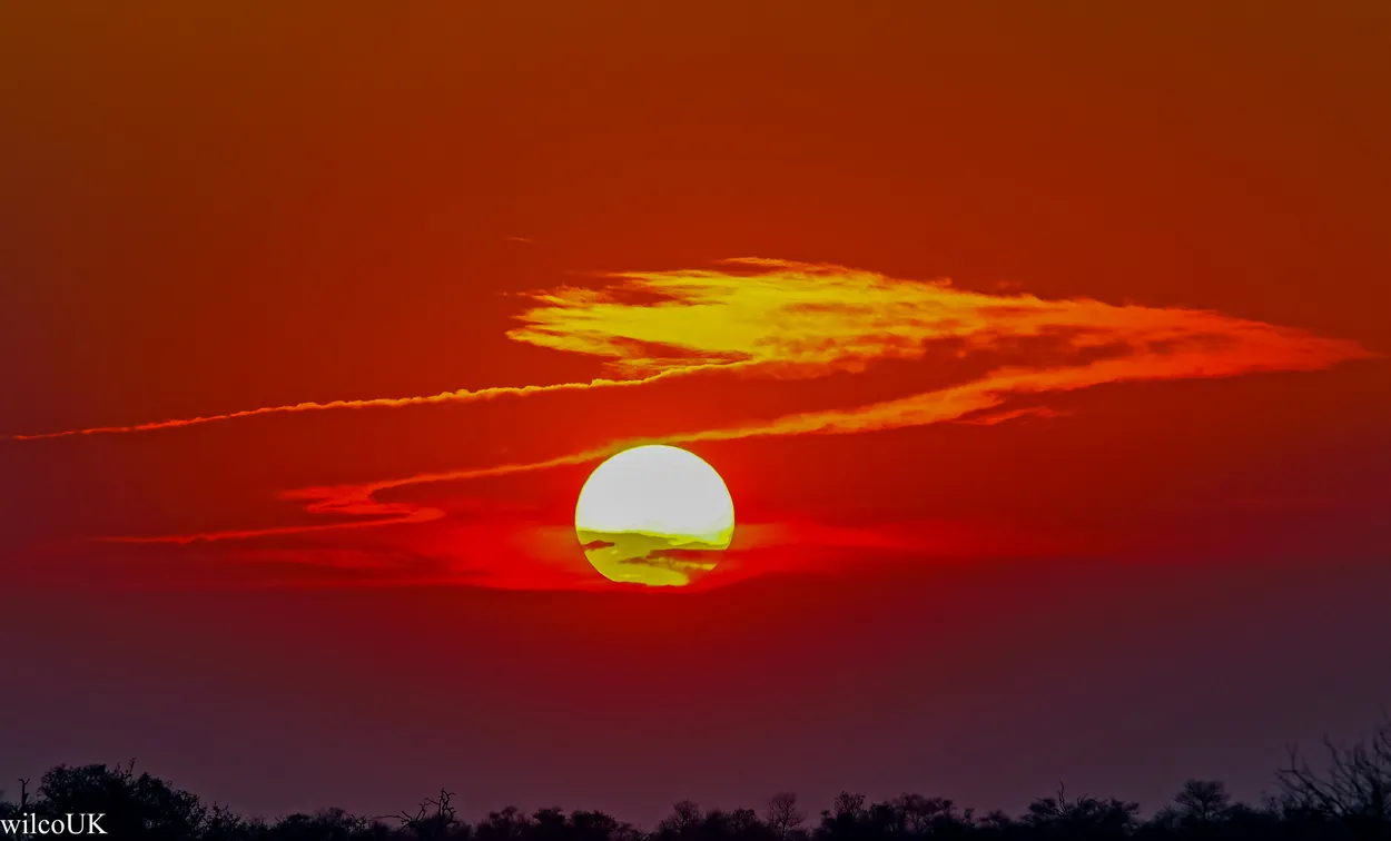 Entry 1520855