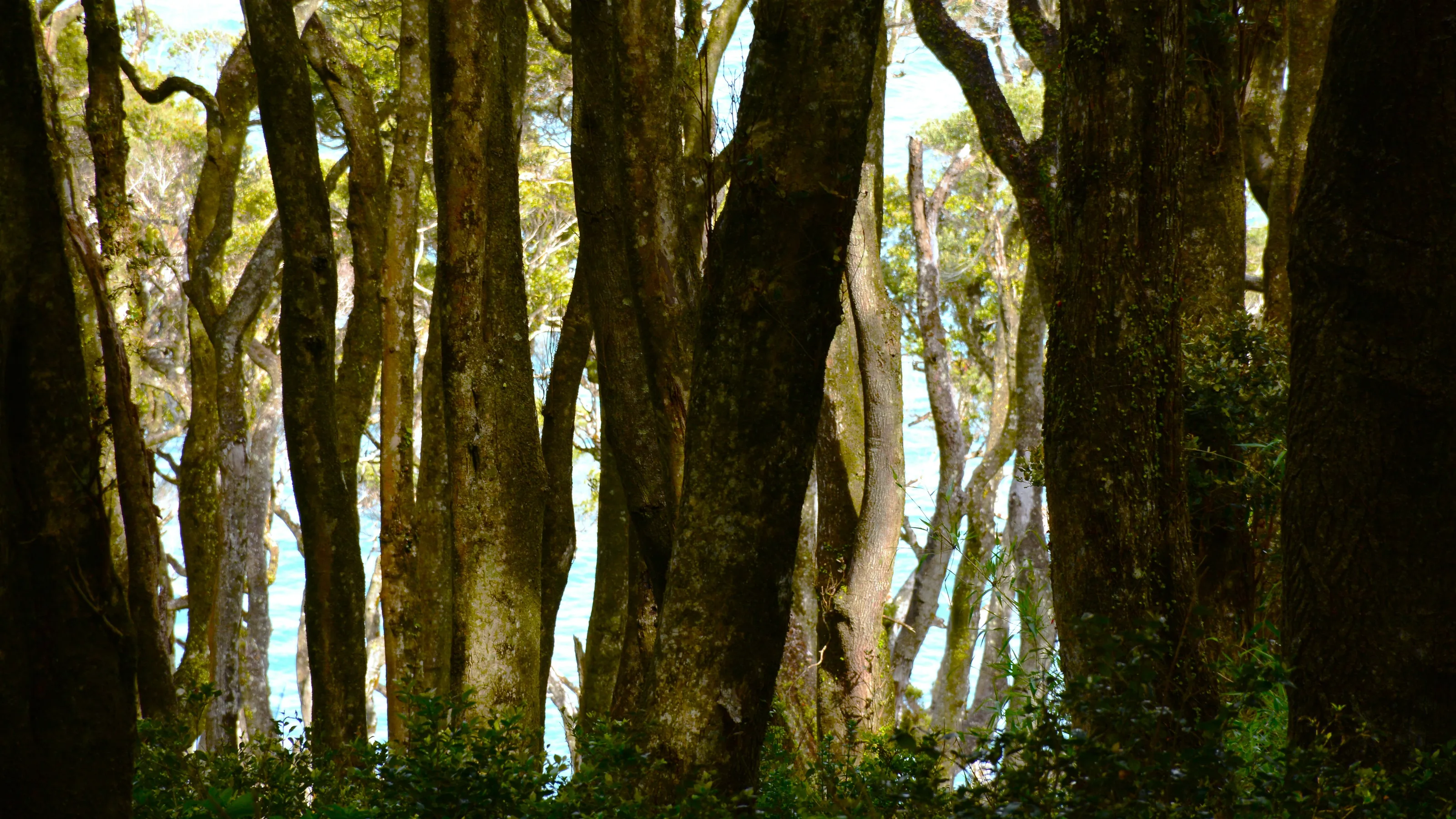 The legs of the Mother Nature