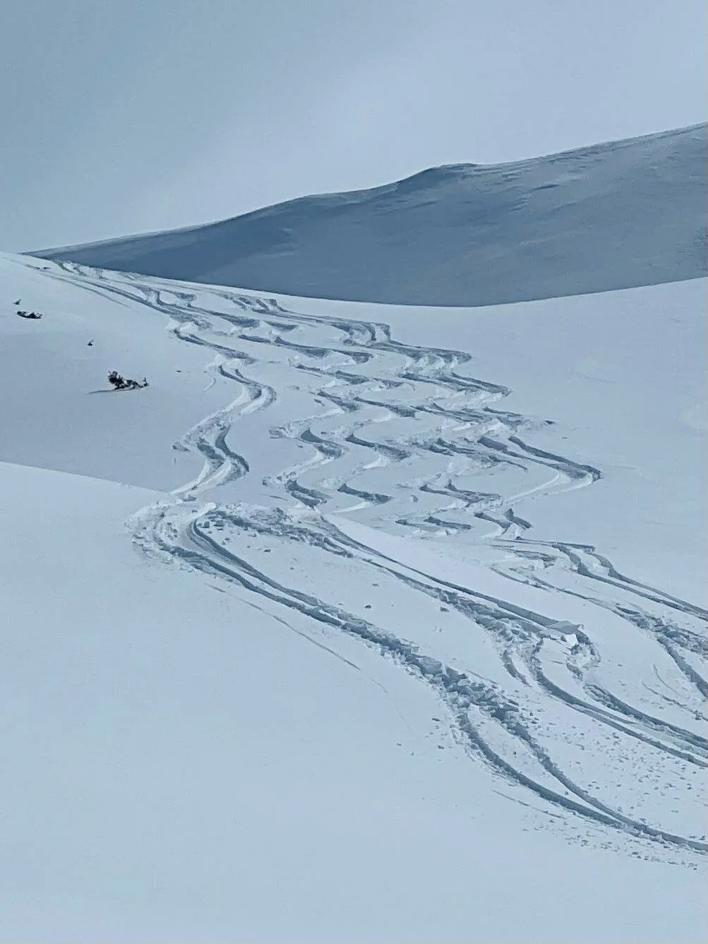 Fresh tracks
