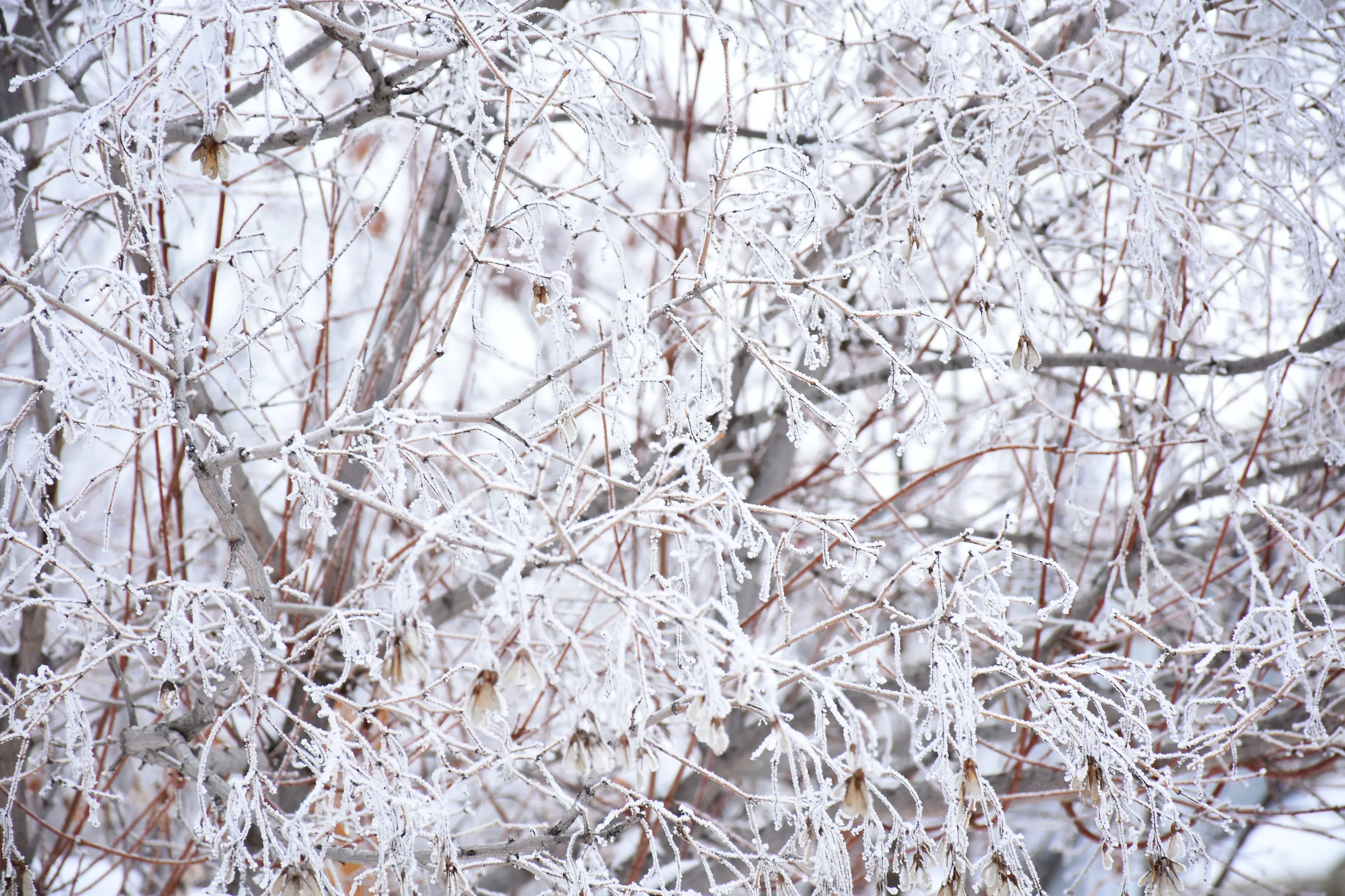 So Cold