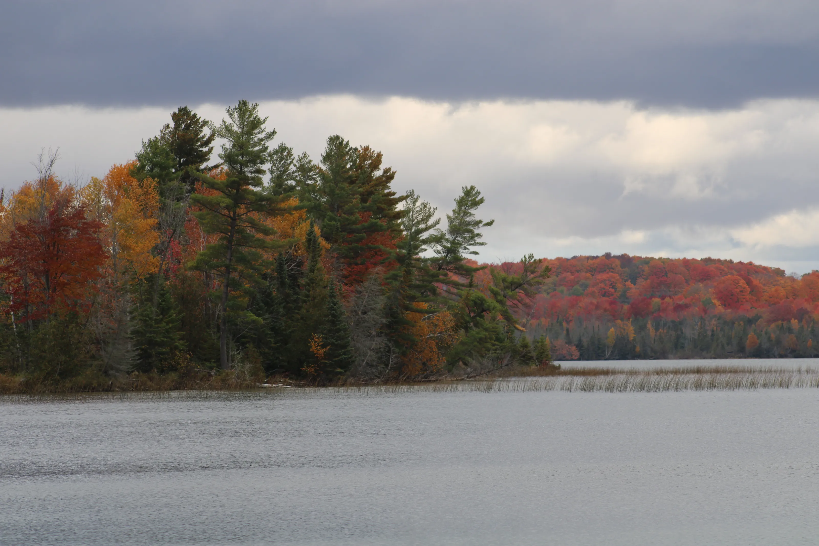 Fall