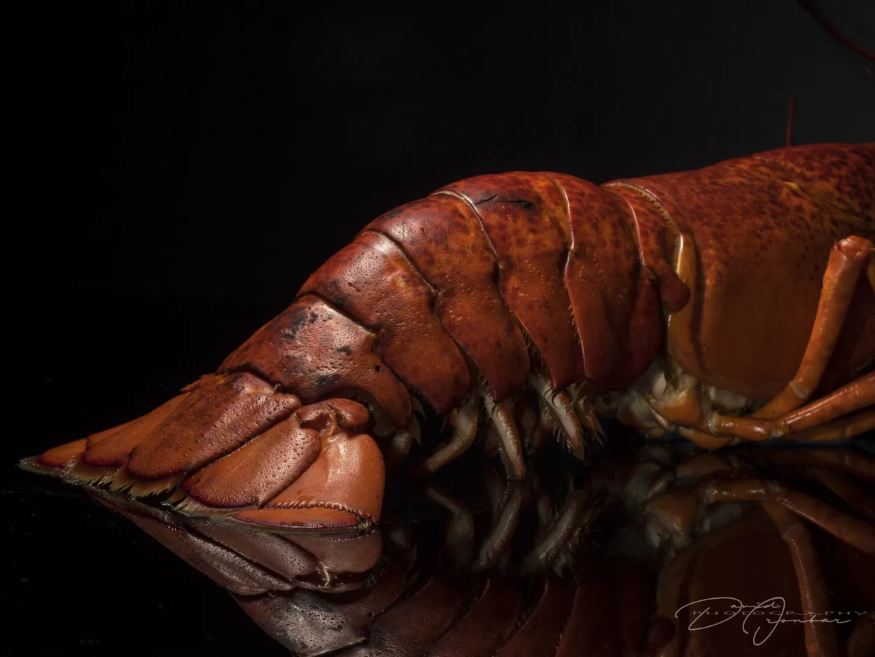 Lobster Rouge...