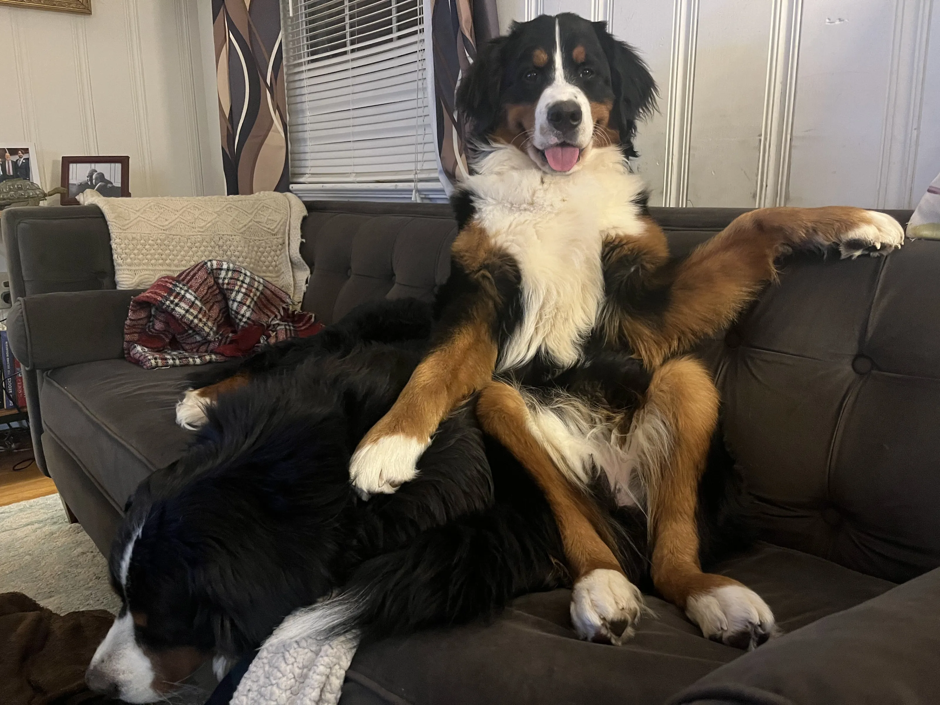 Just Chillin
