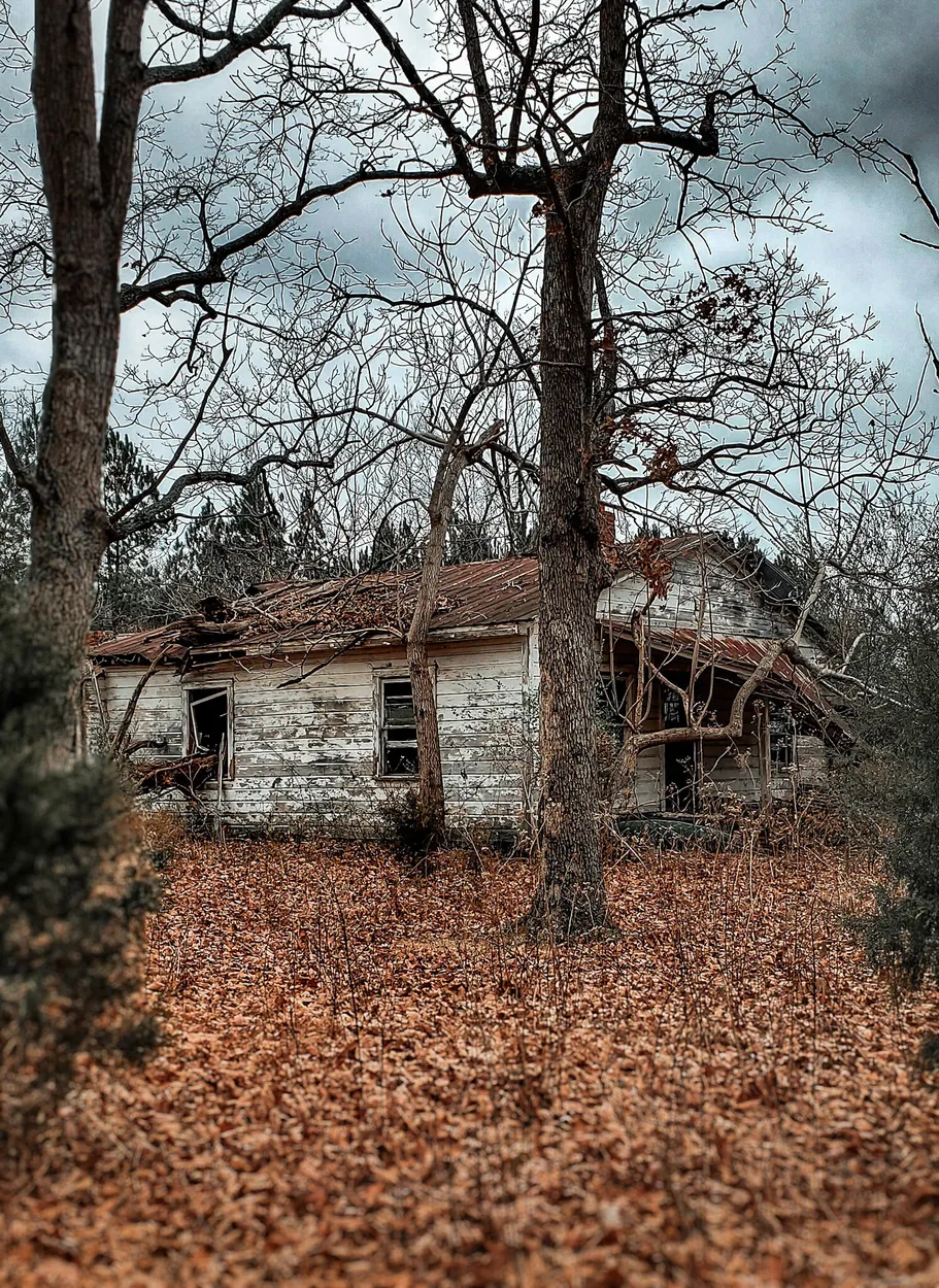 Entry 19810052