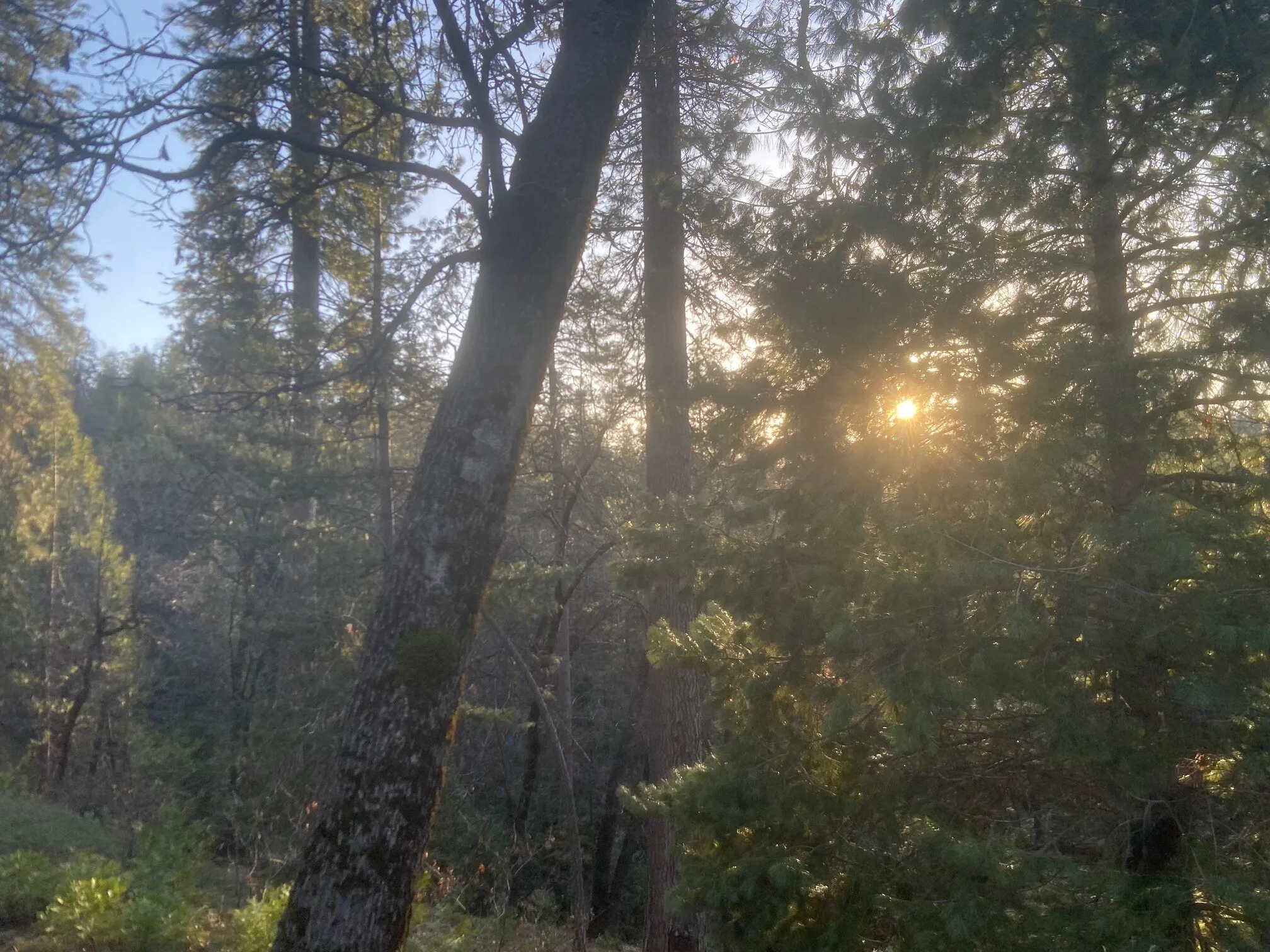 wandering sunset