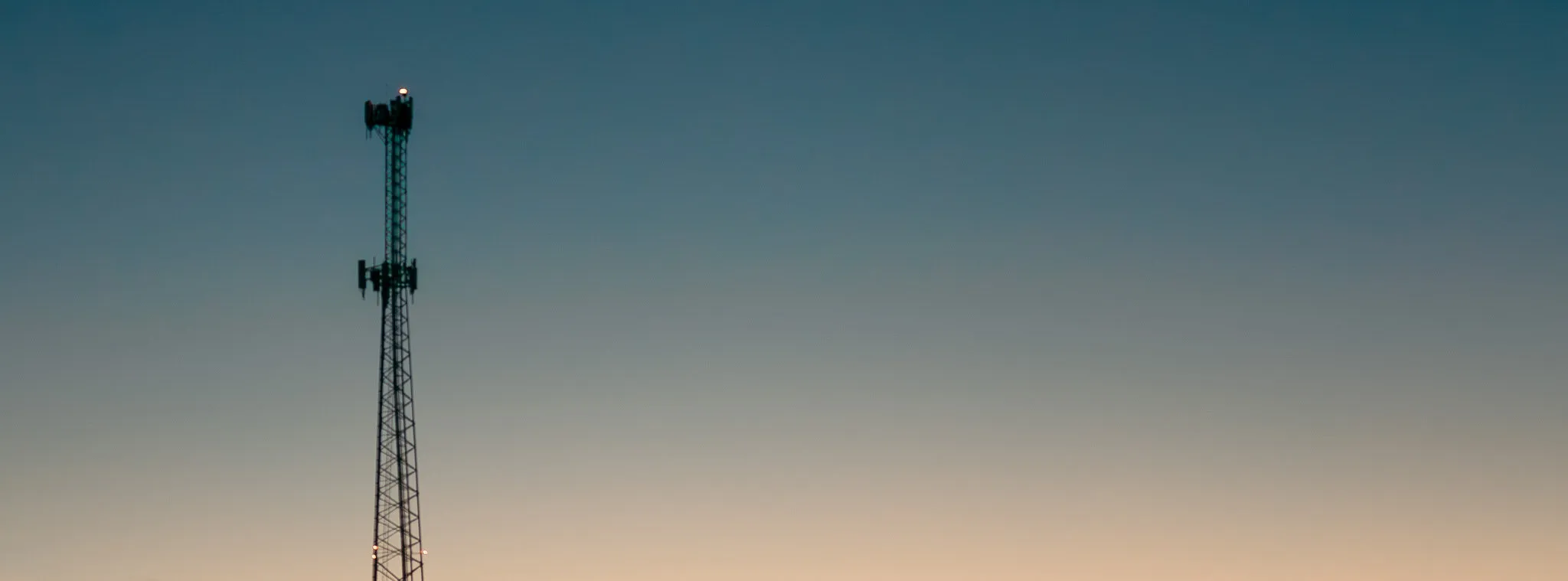 Banner image