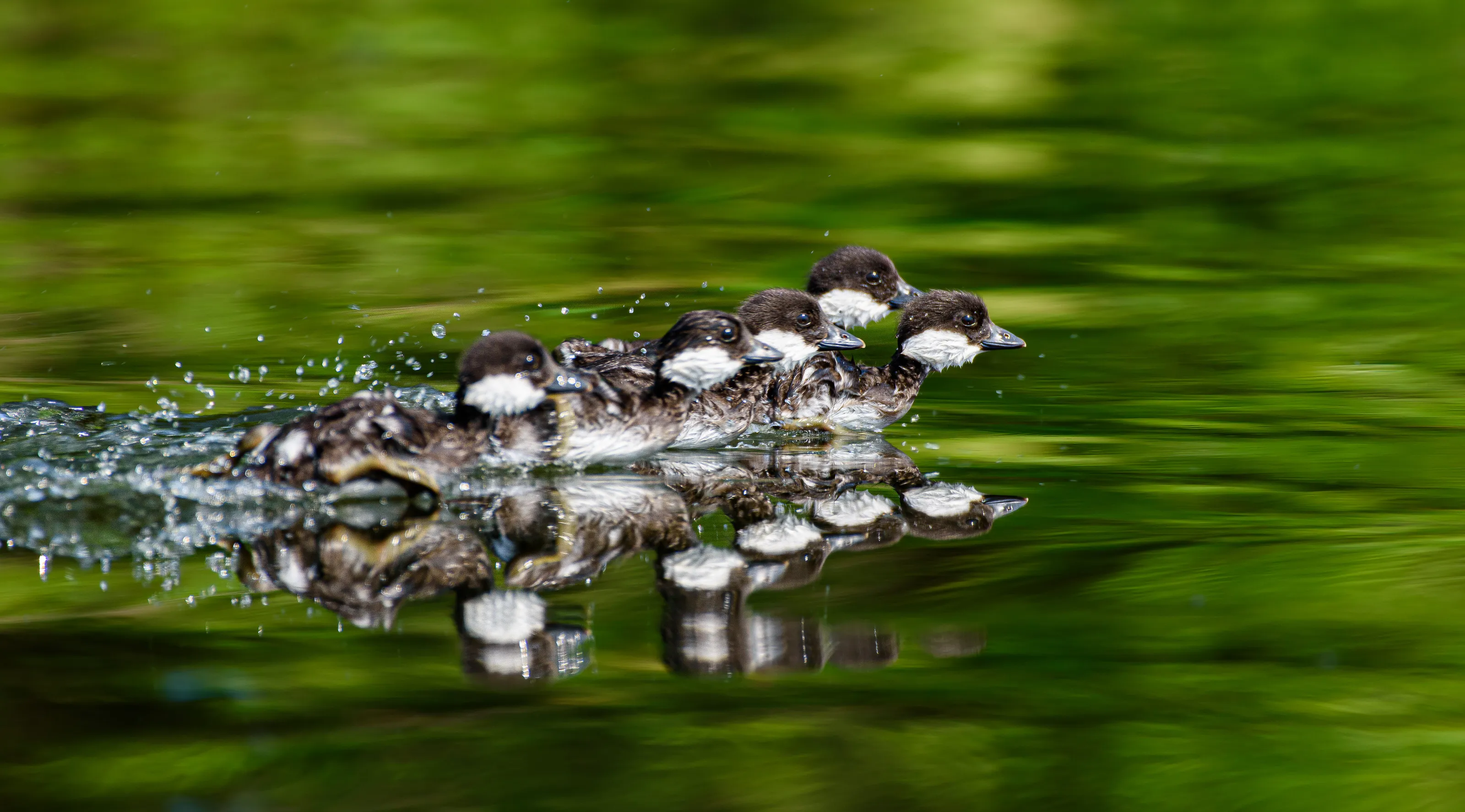 Running on Water