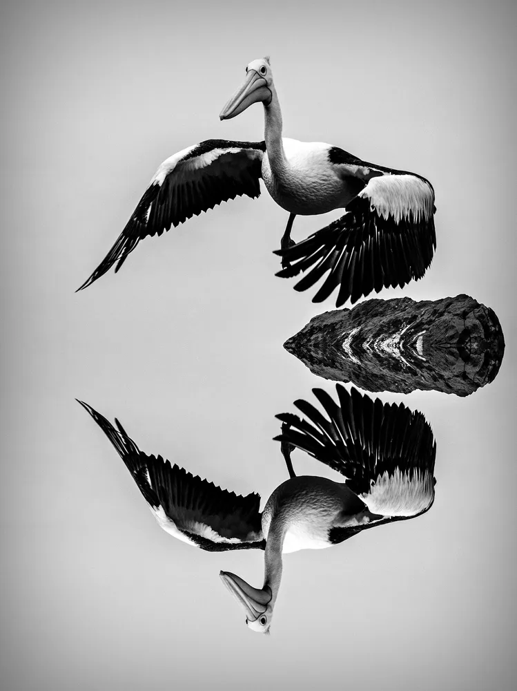 Reflection