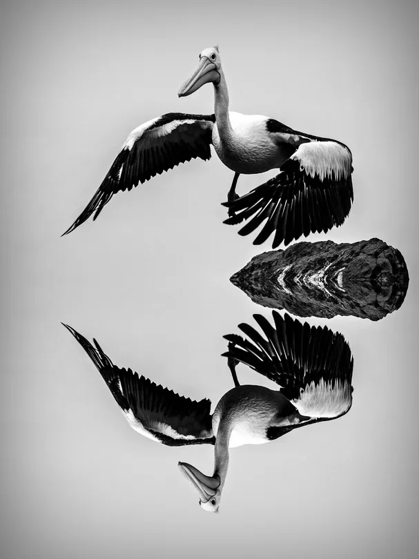 Reflection