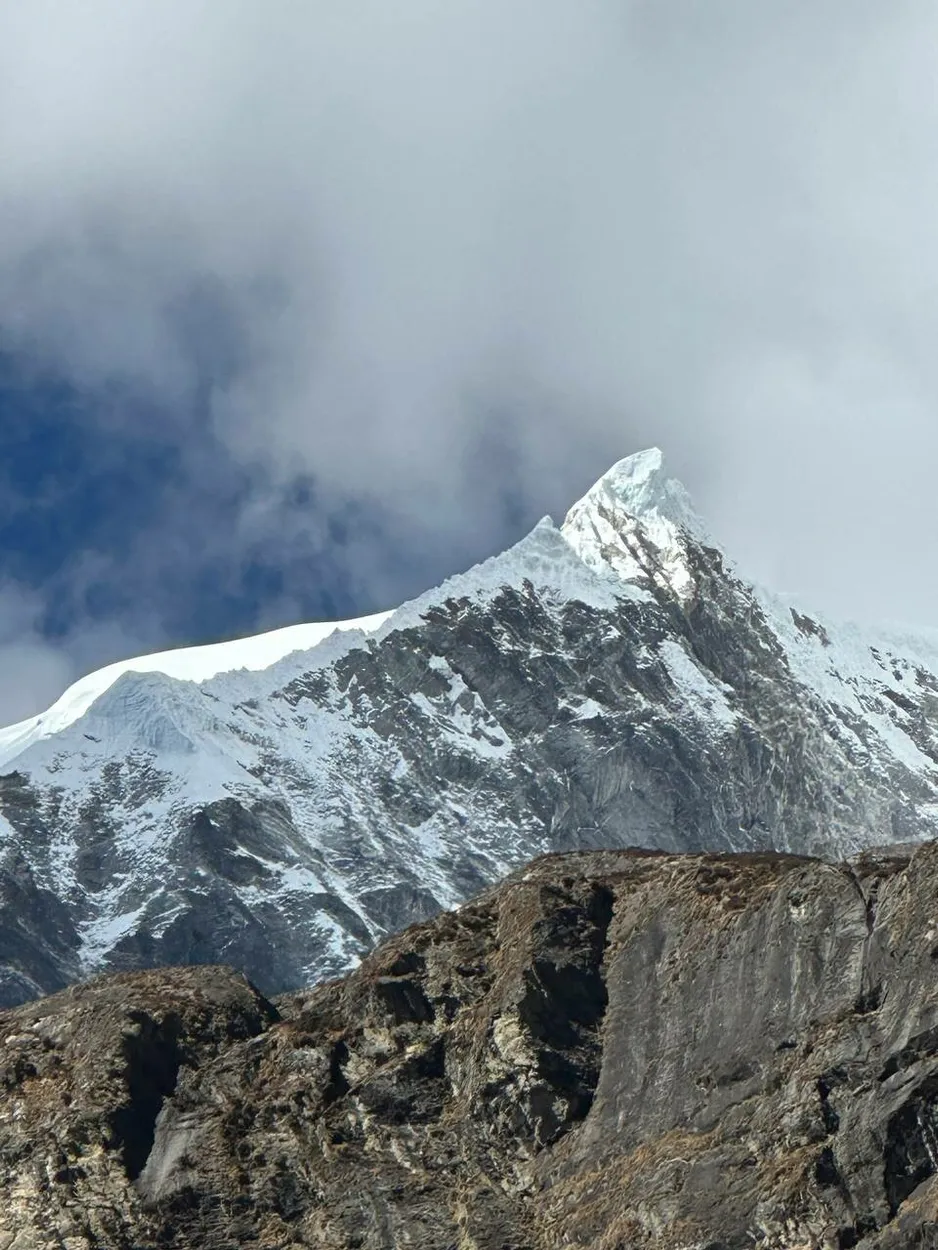 Entry 19848223