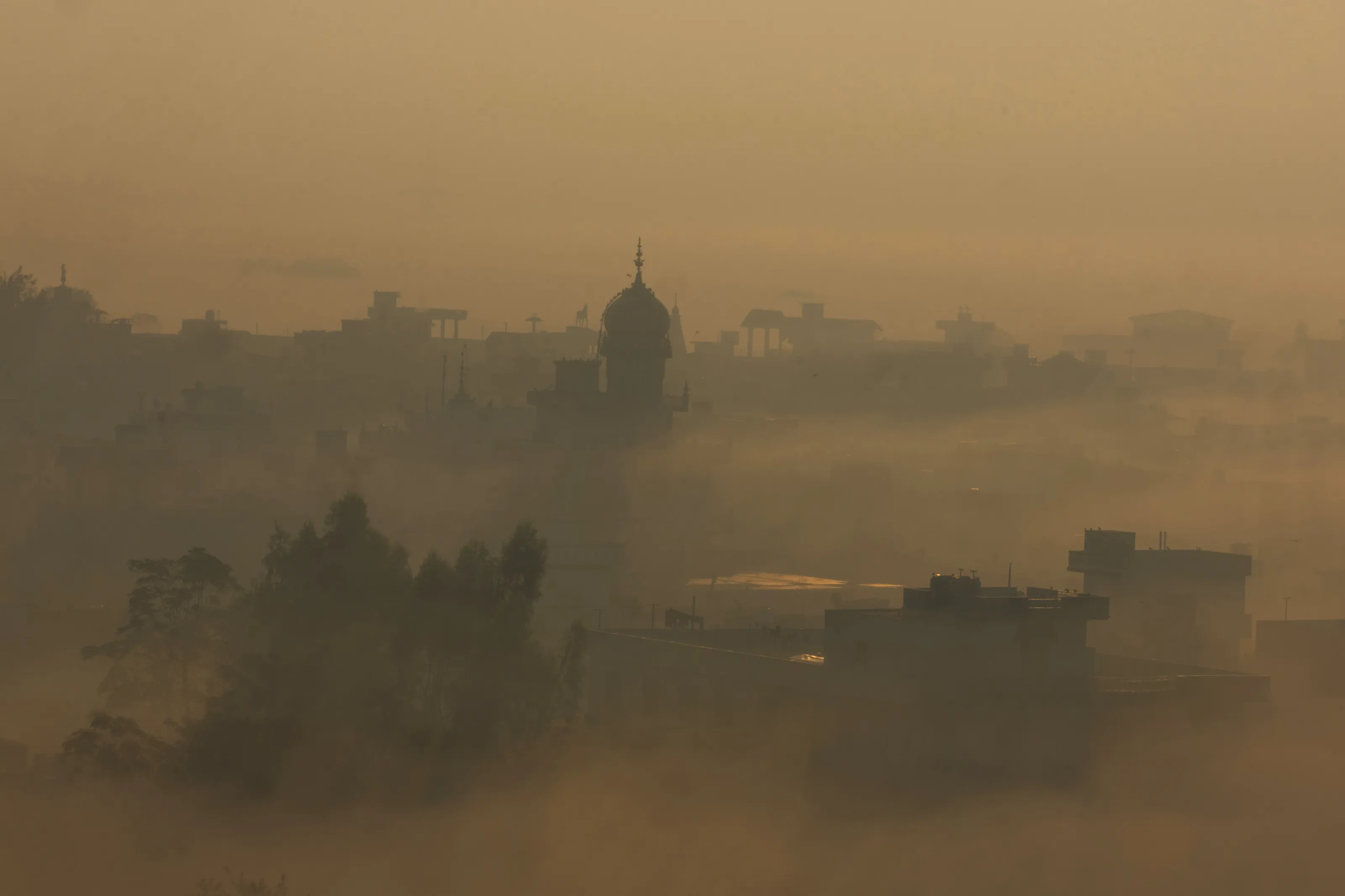 Morning Fog