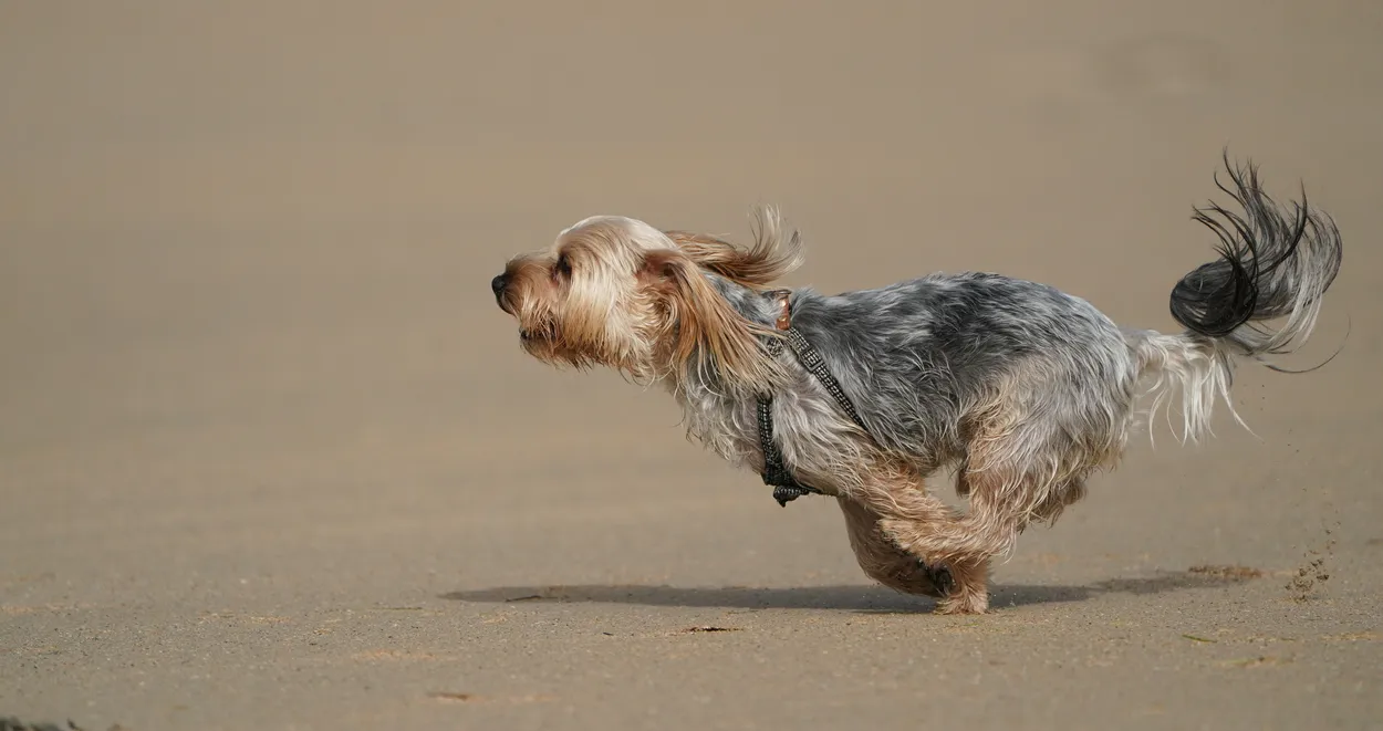 Entry 19853800