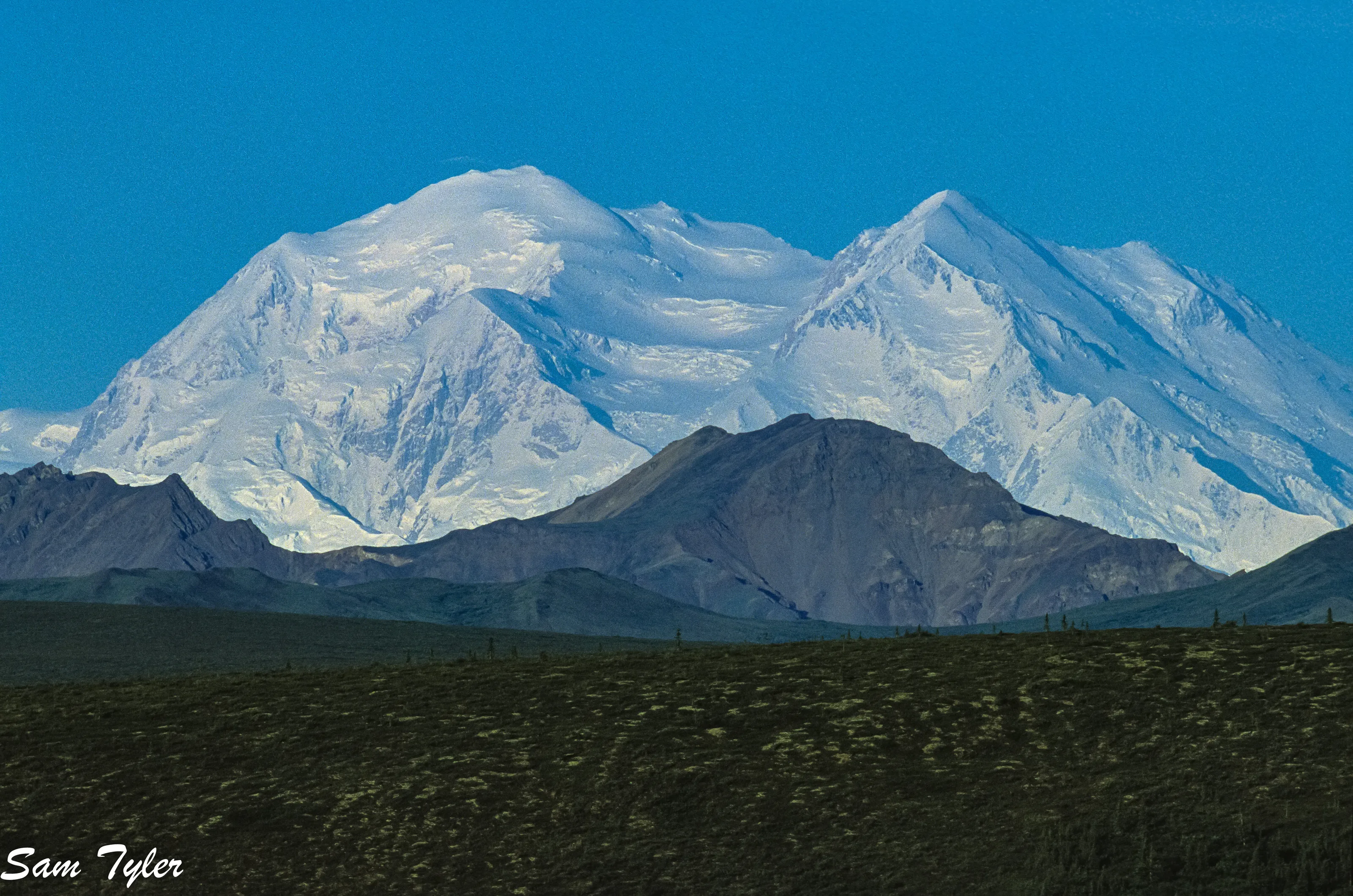 Mighty Denali