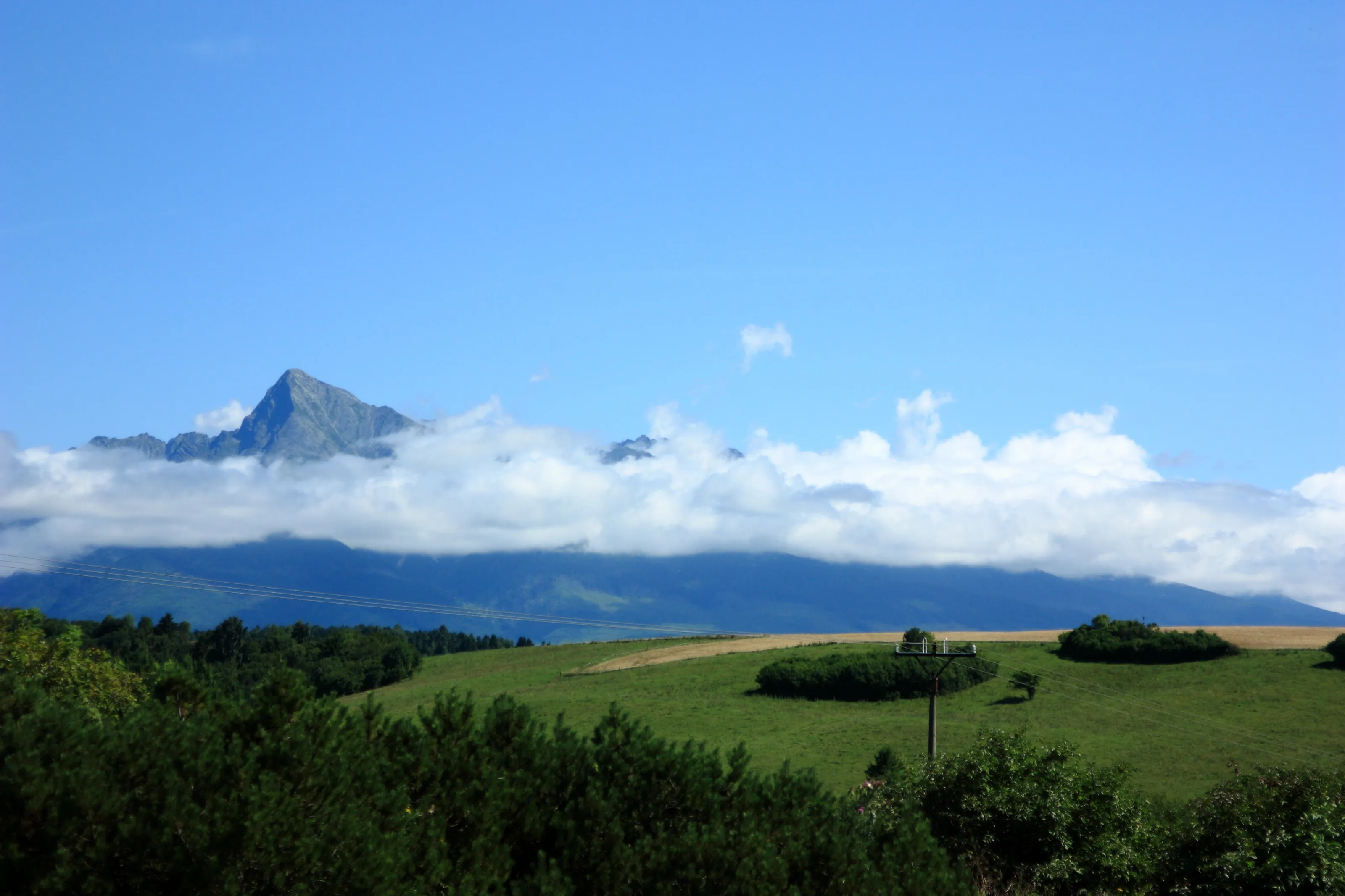 Mountain