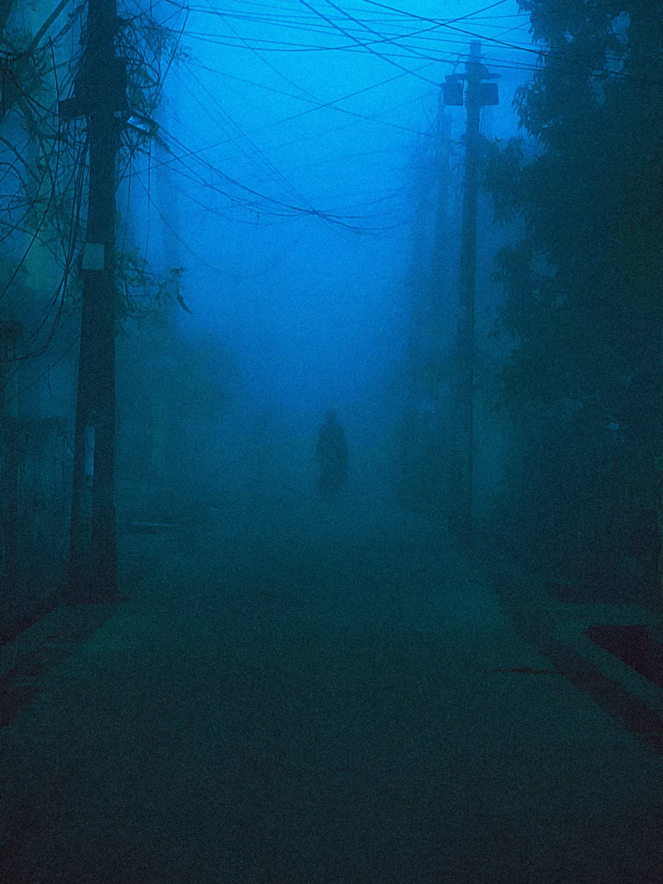 Entry 19872652