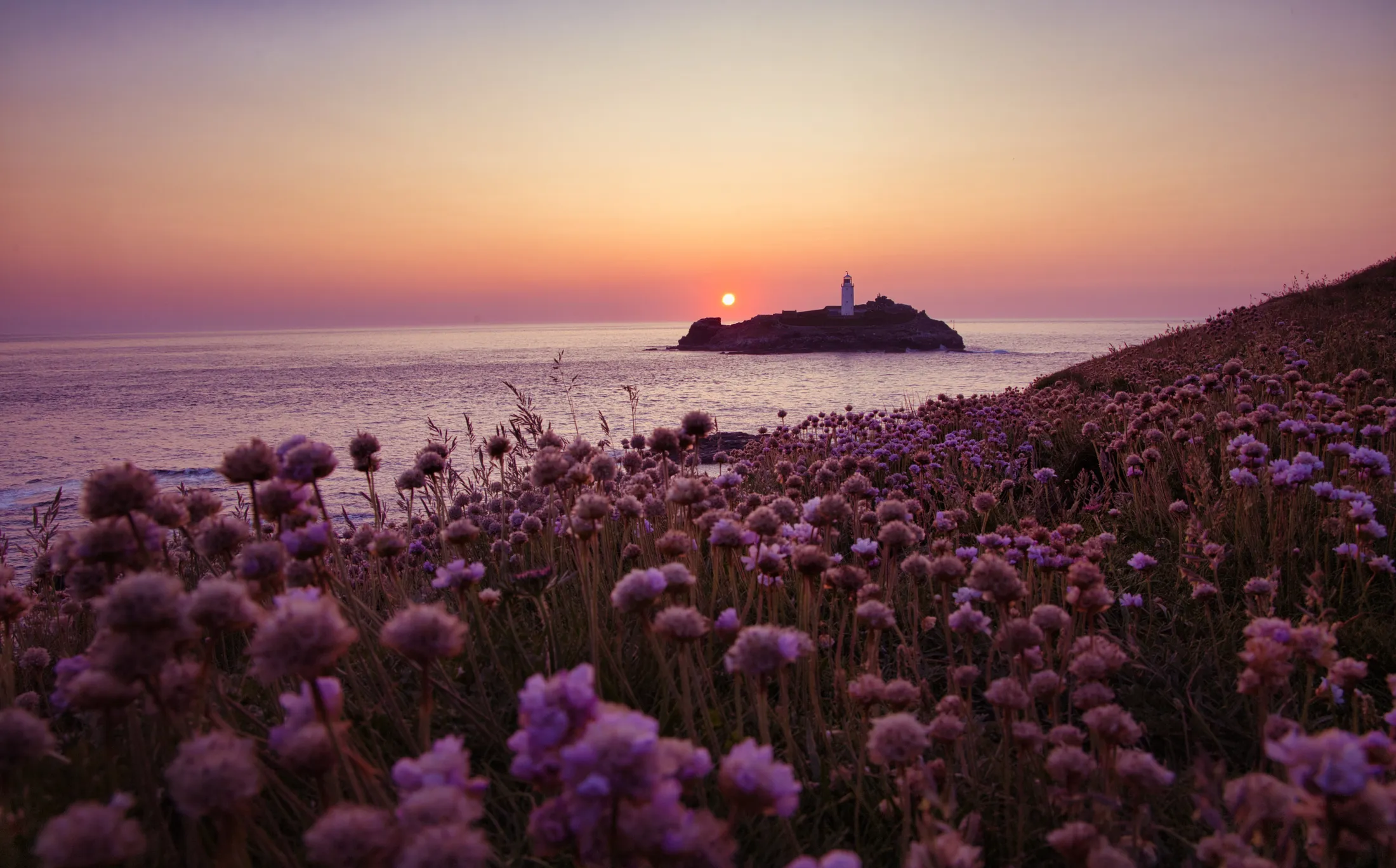 Chilling in a sea of pinks