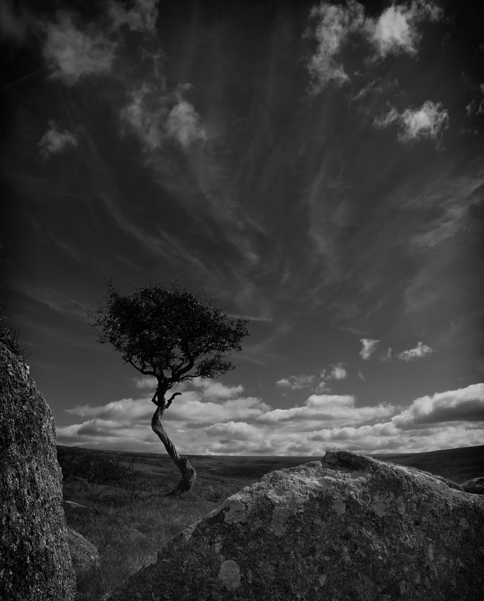Dartmoor in summer