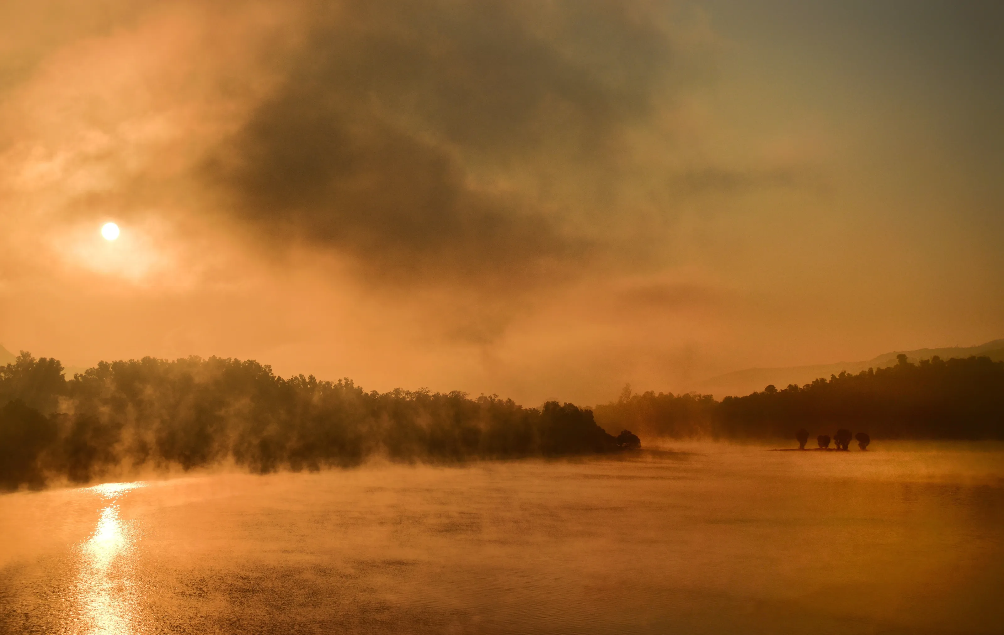 Nature's Morning Canvas