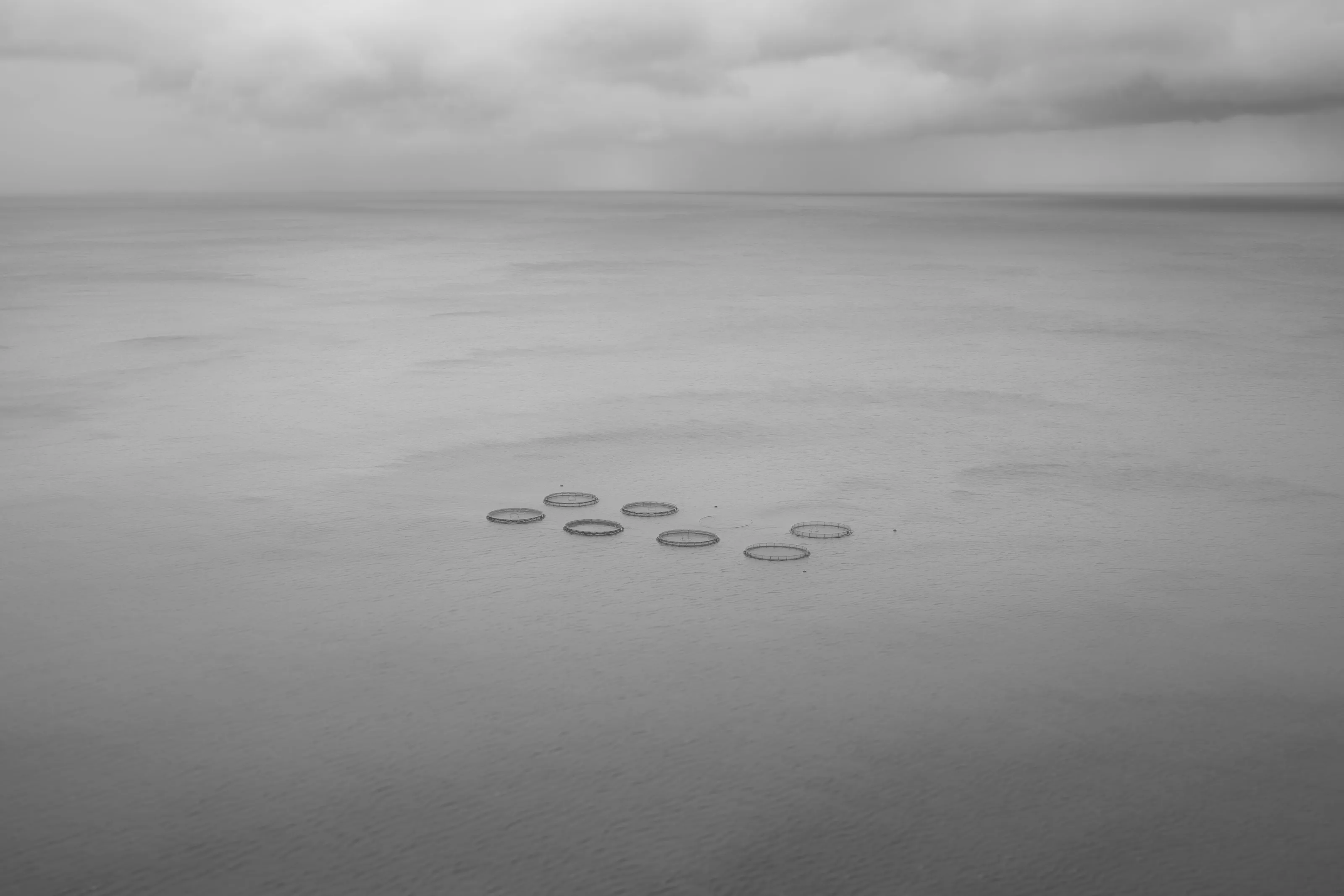 Scene of silence II