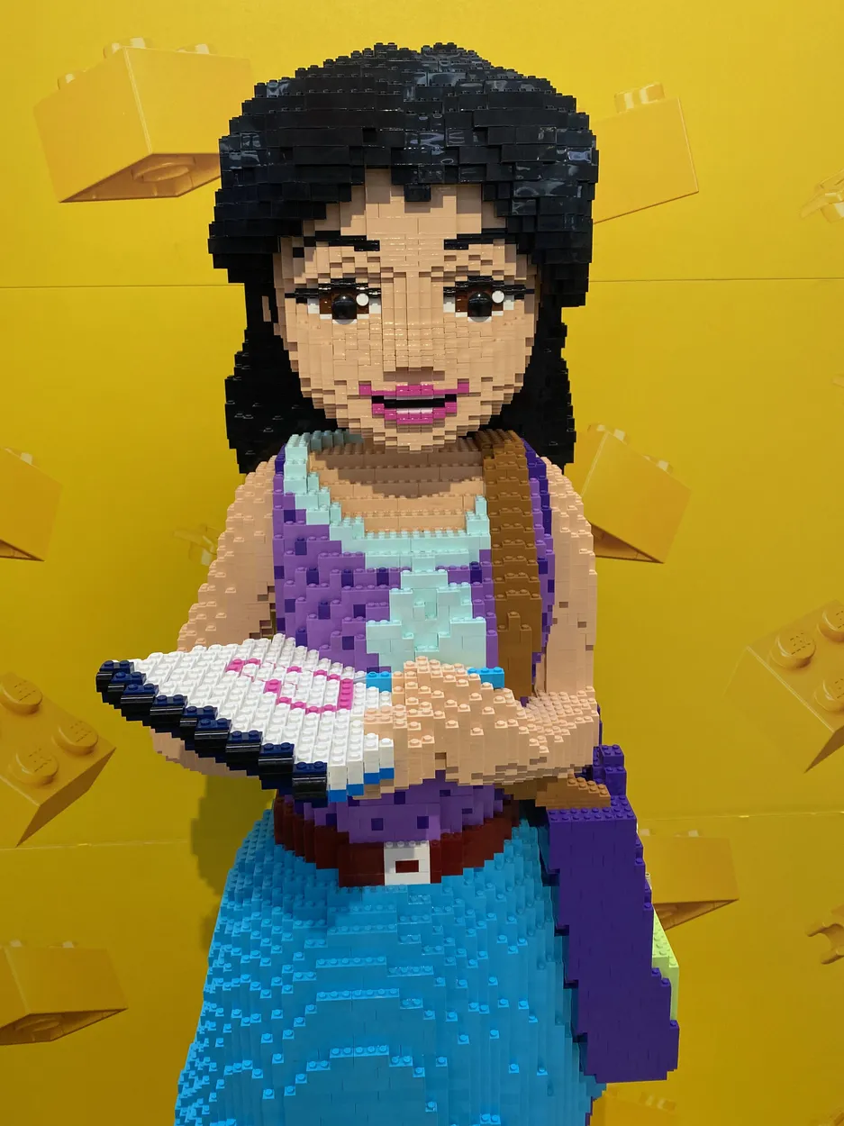 Entry 19886565