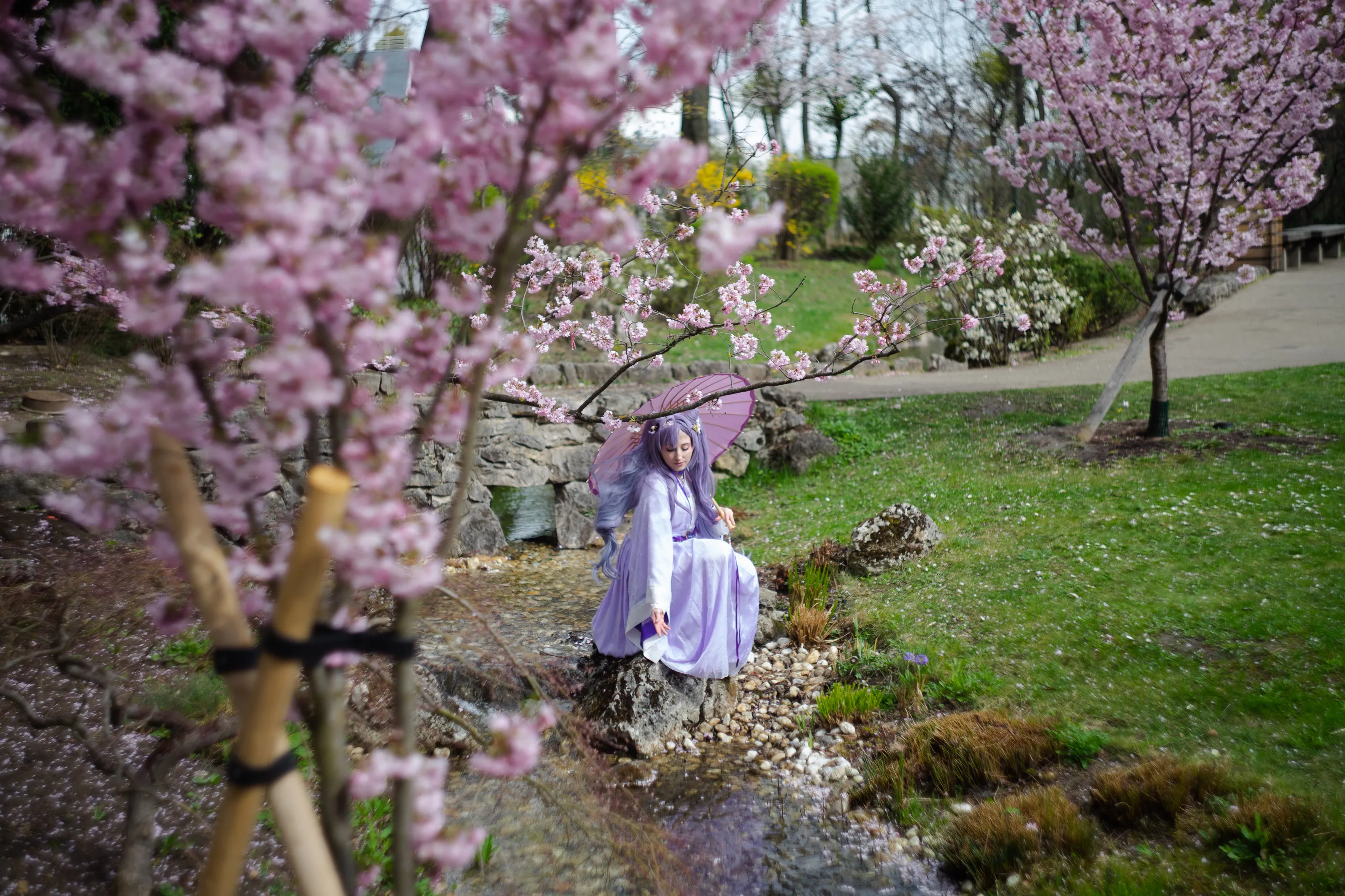 Spring has sprung