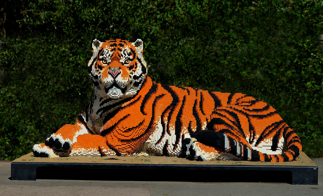 Entry 19905413