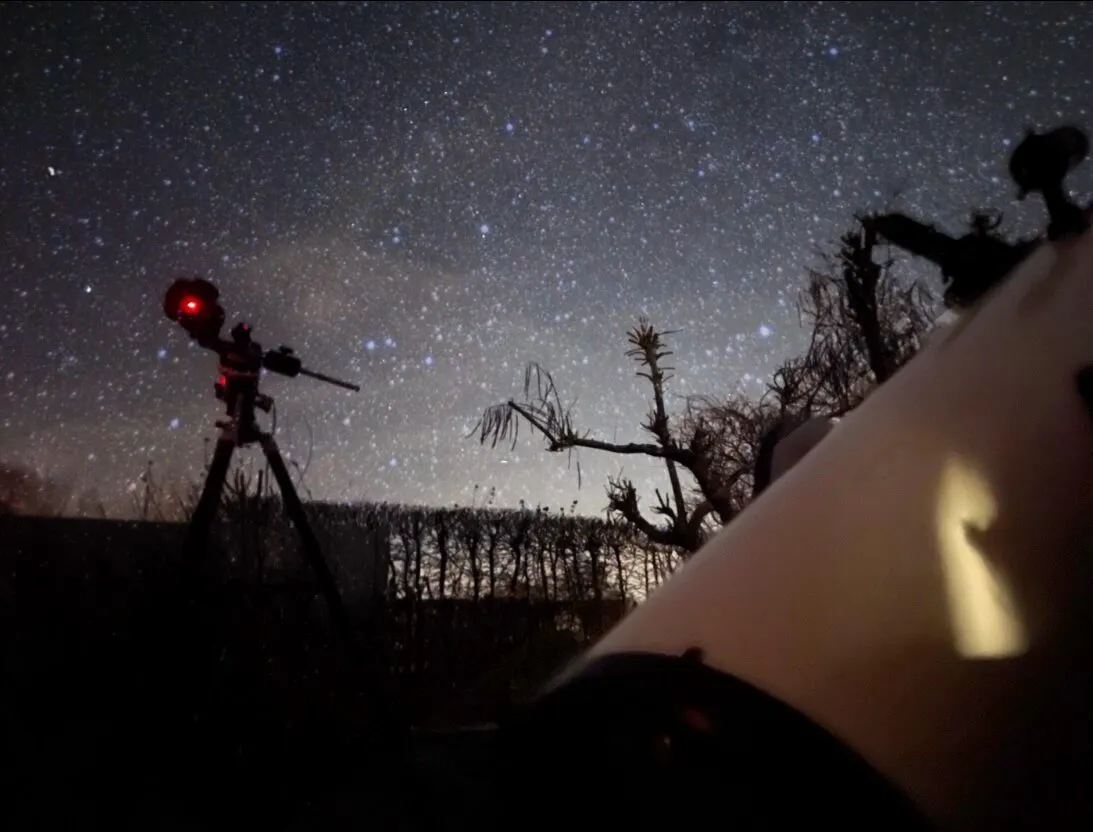 Stars.