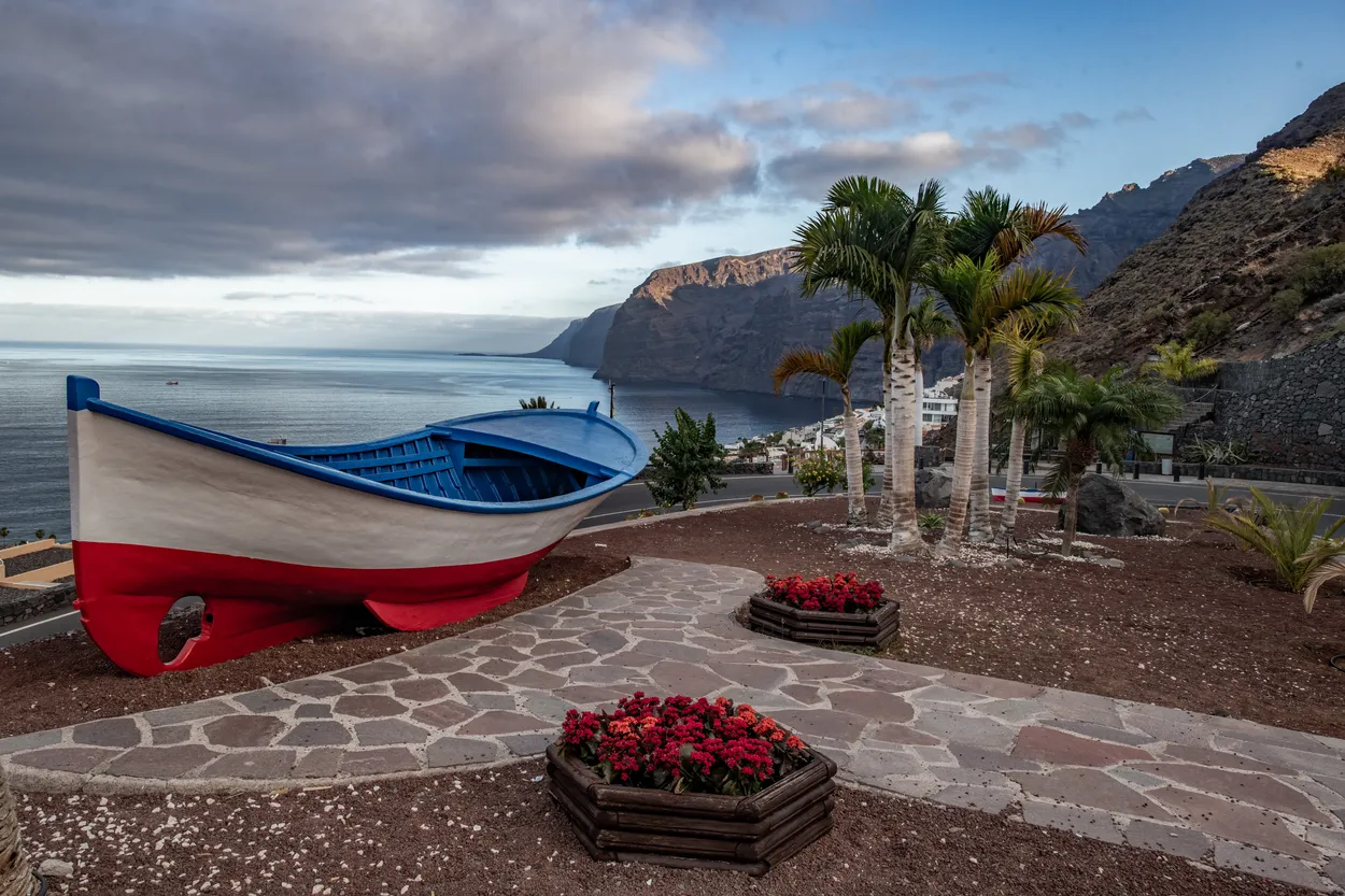 Entry 19907305