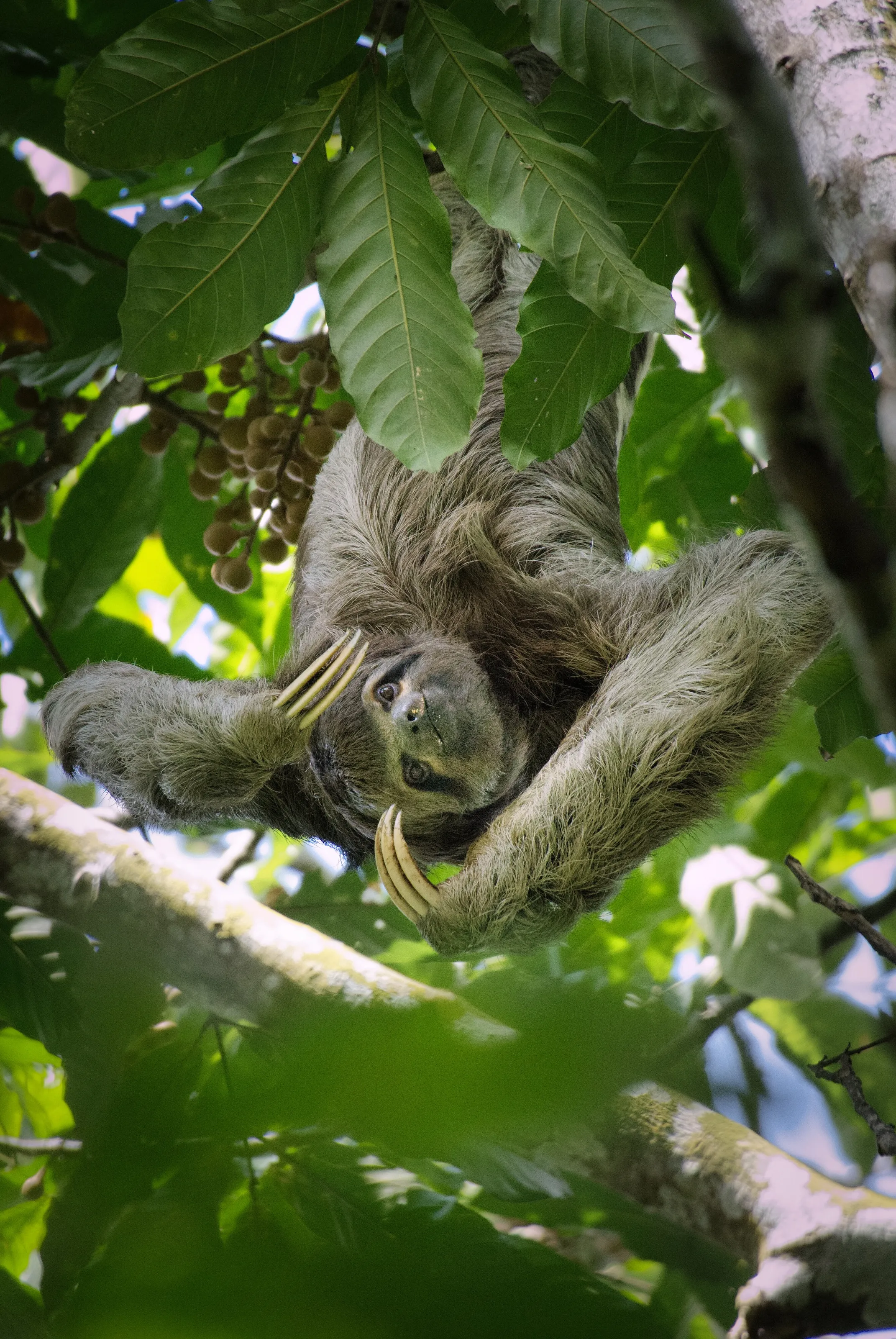 Hanging out