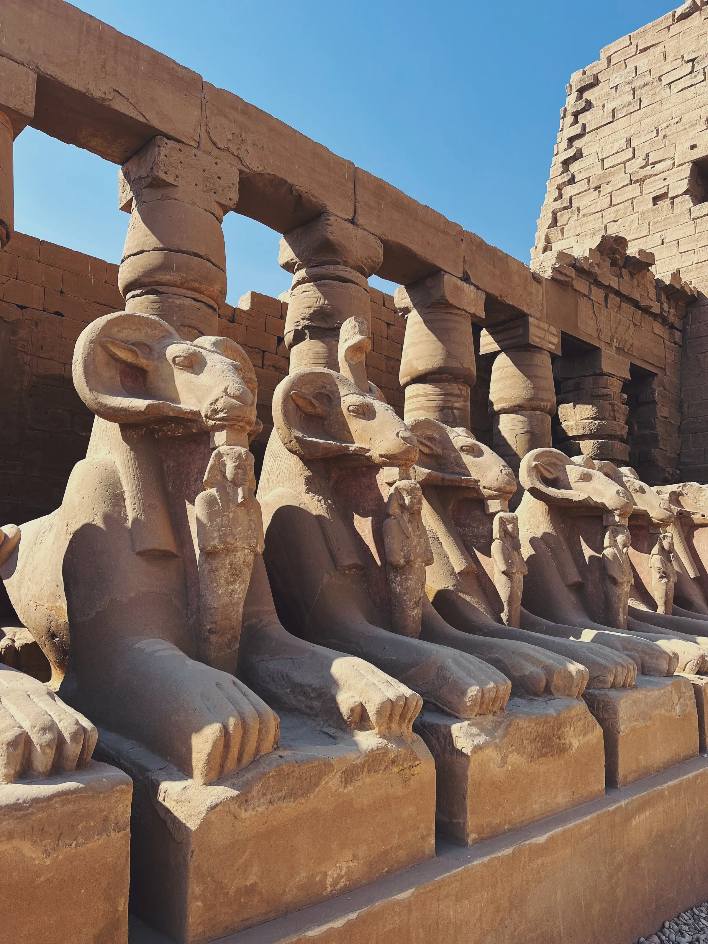 crowning pharaohs since 3423