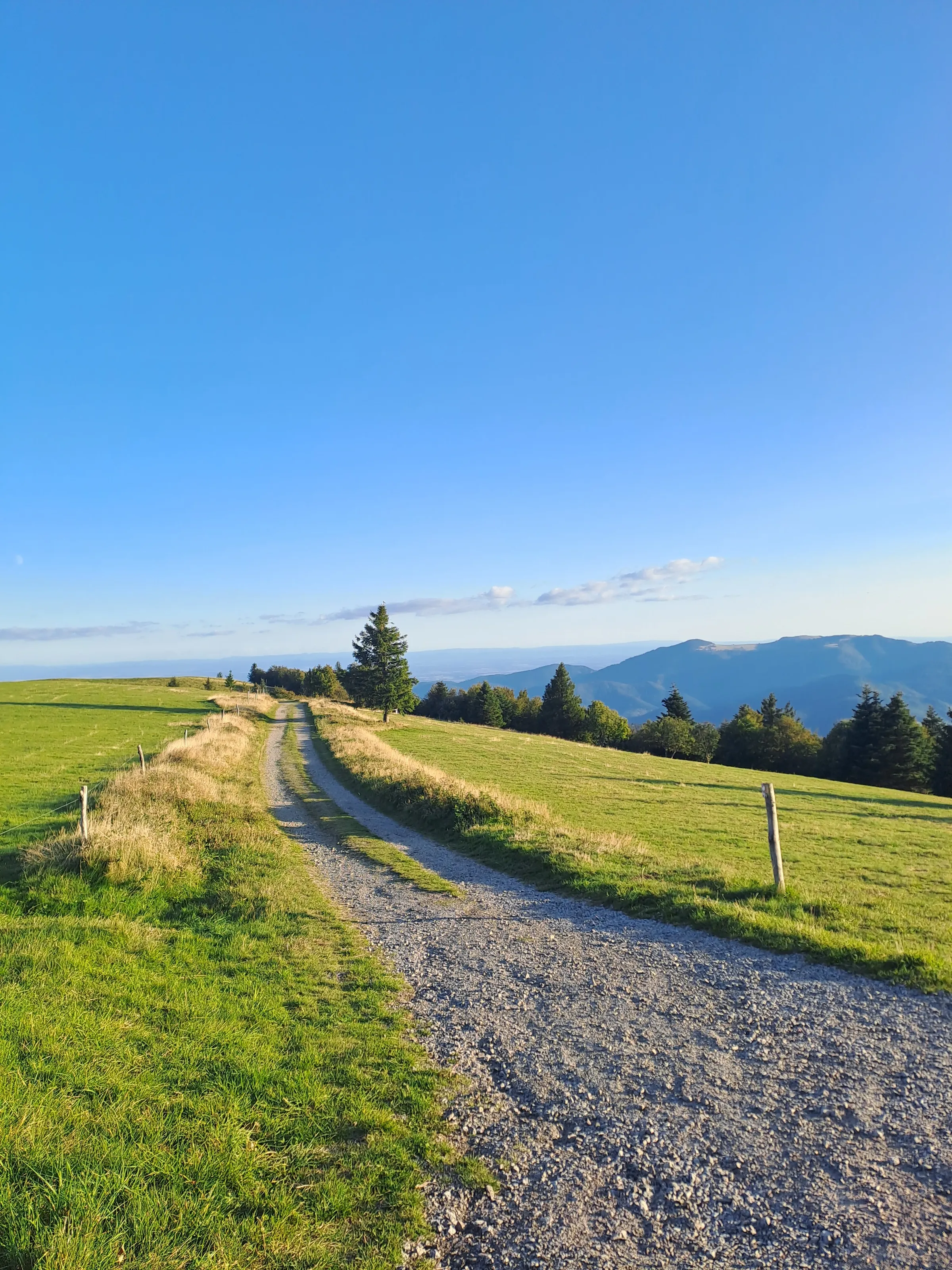 Beautiful  Landscape in Fance ,Grand ballon
