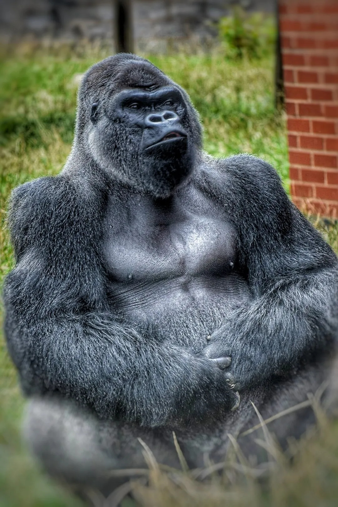 What you looking at