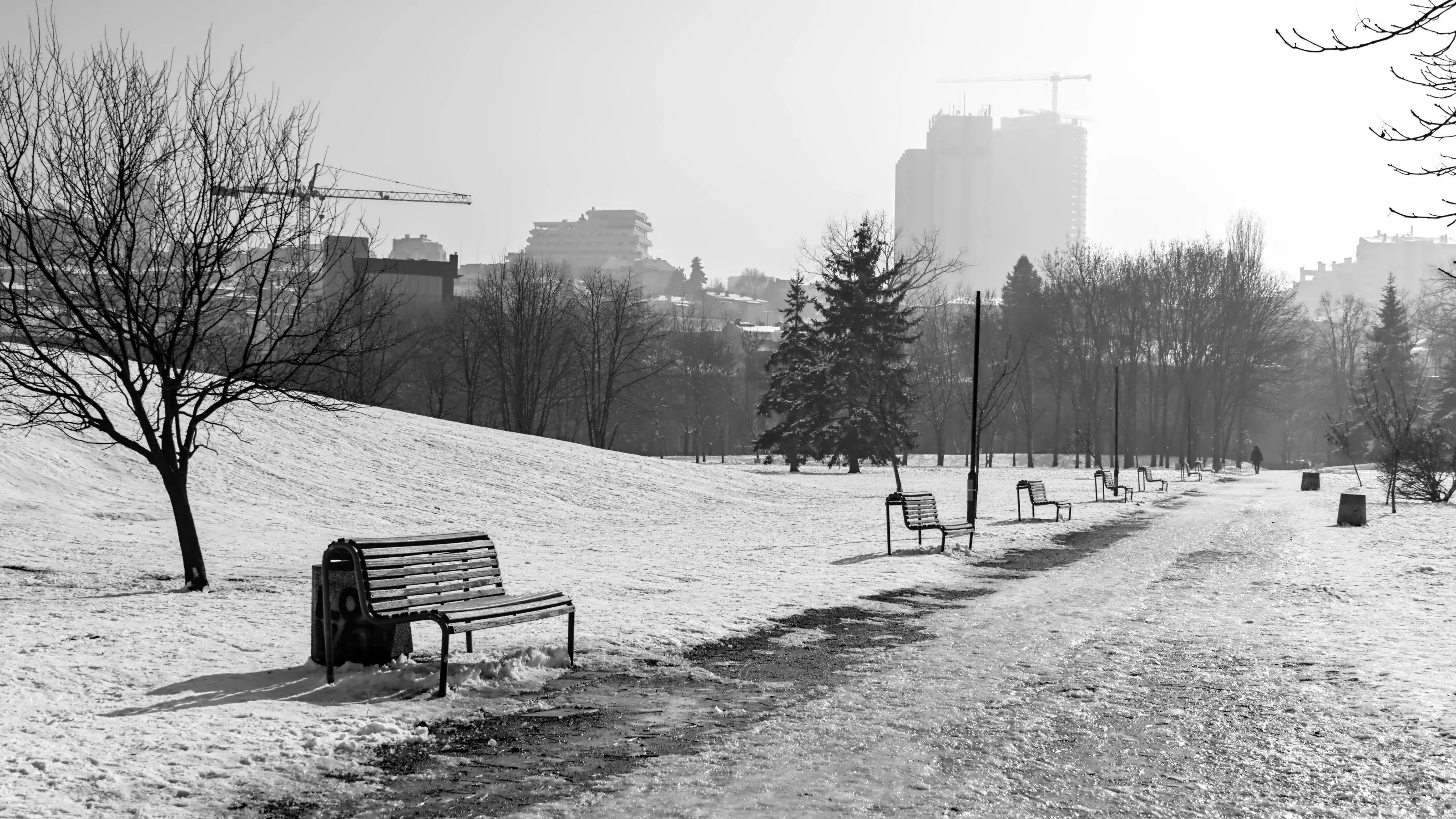 The park & the city