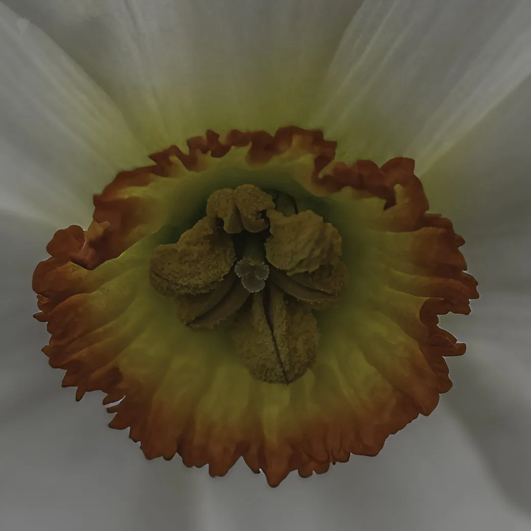Entry 20120441