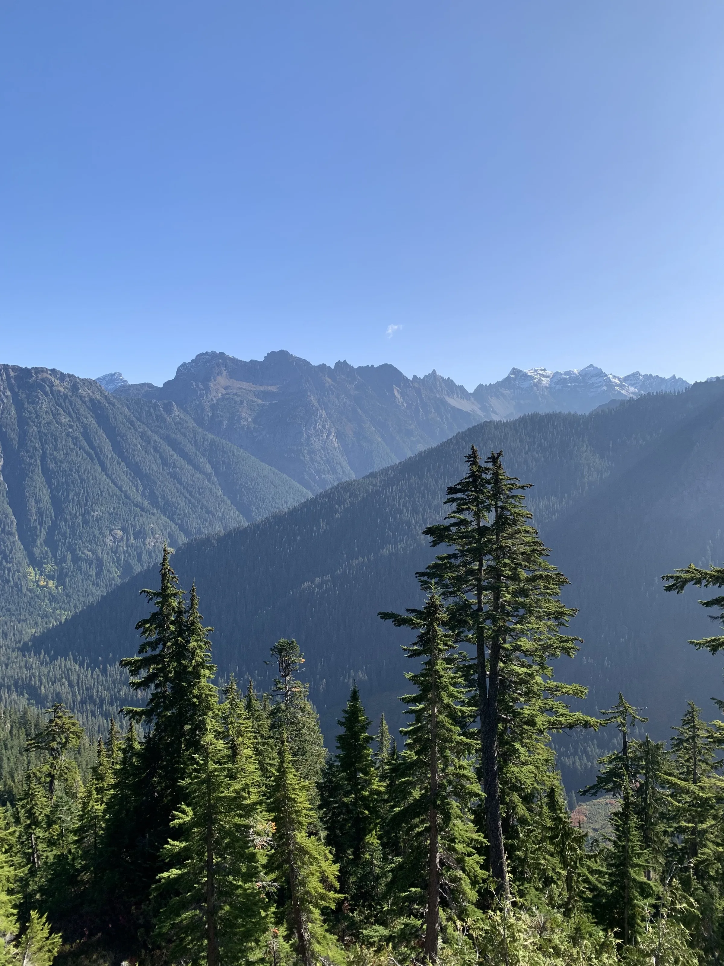 The Green Clothing of the Mountains