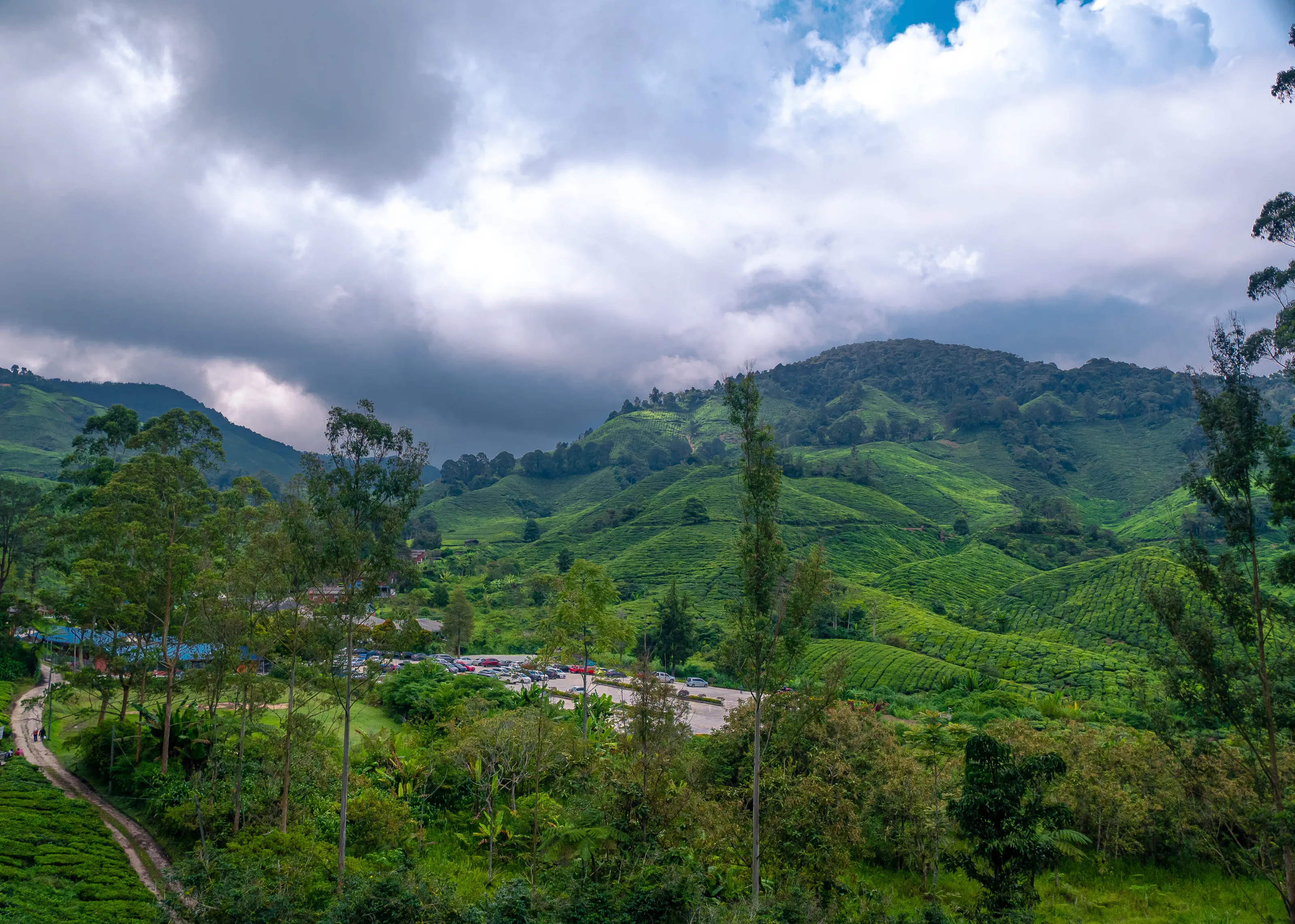 The beauty that can be seen from the top of the hill in Cameron Highlands
