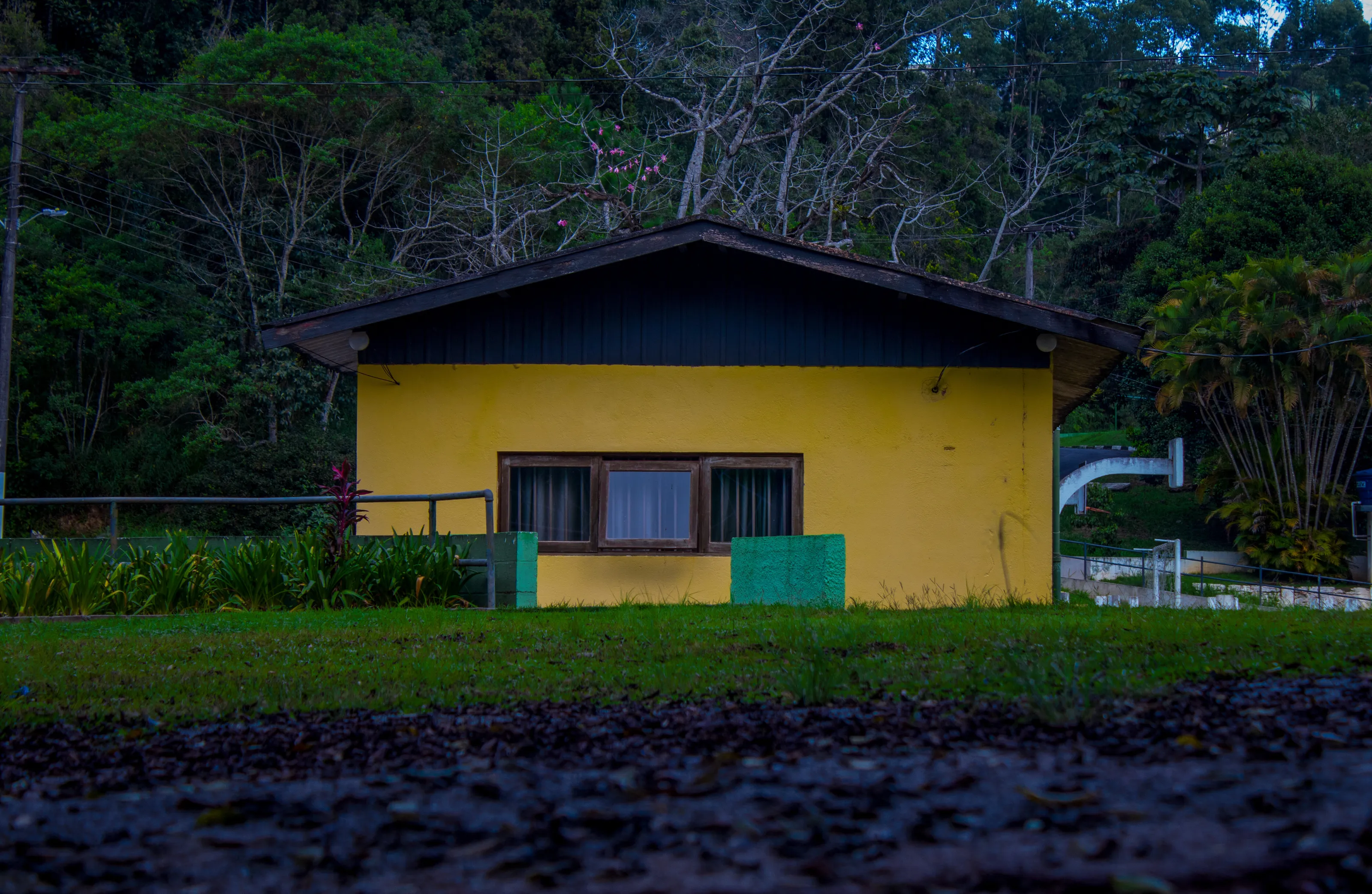 Yellow House