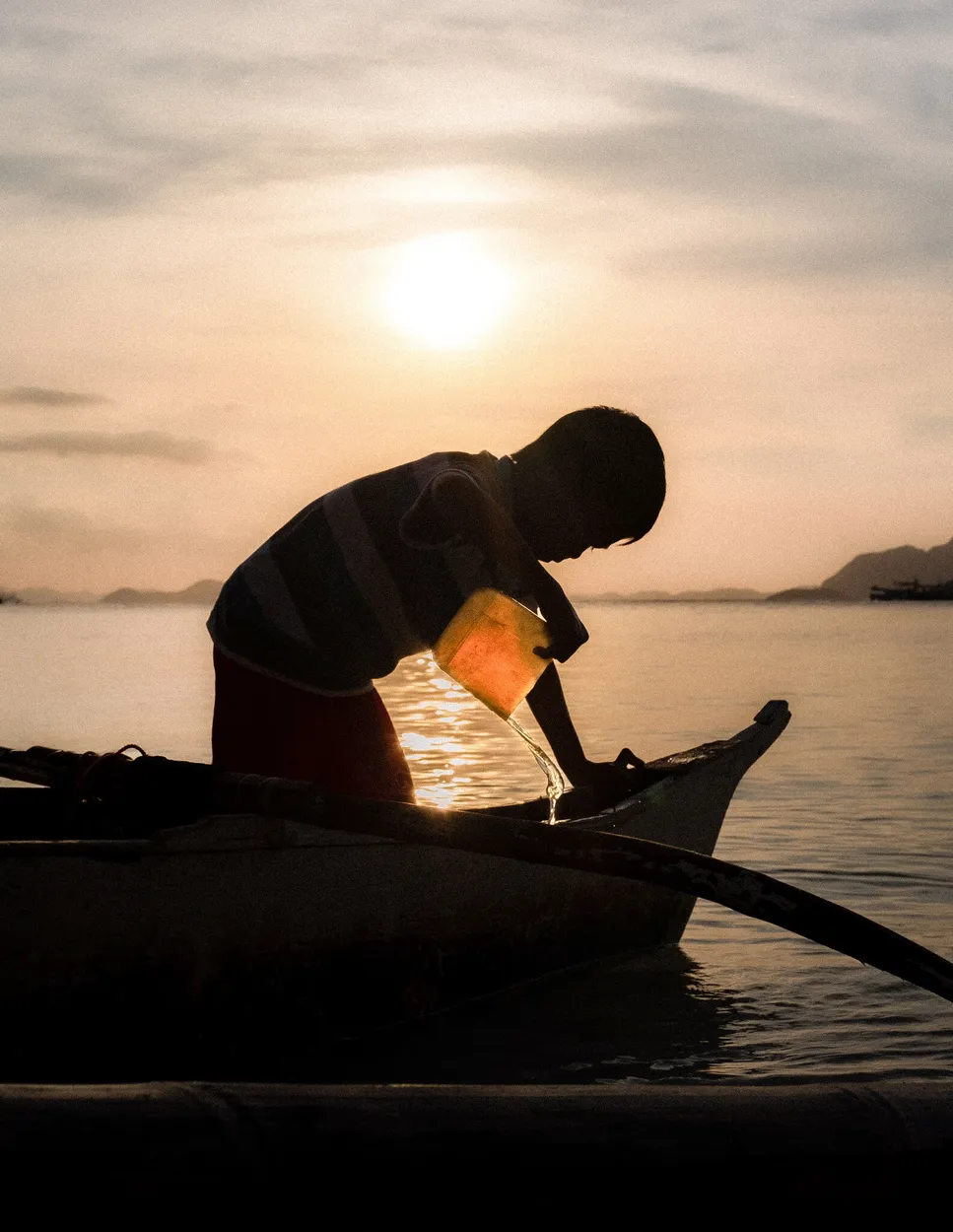 Entry 19950034