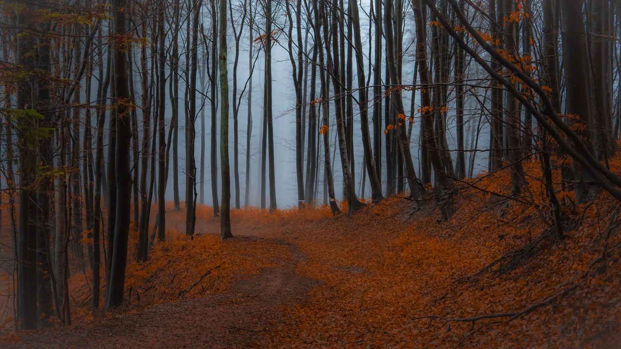 Entry 22213922