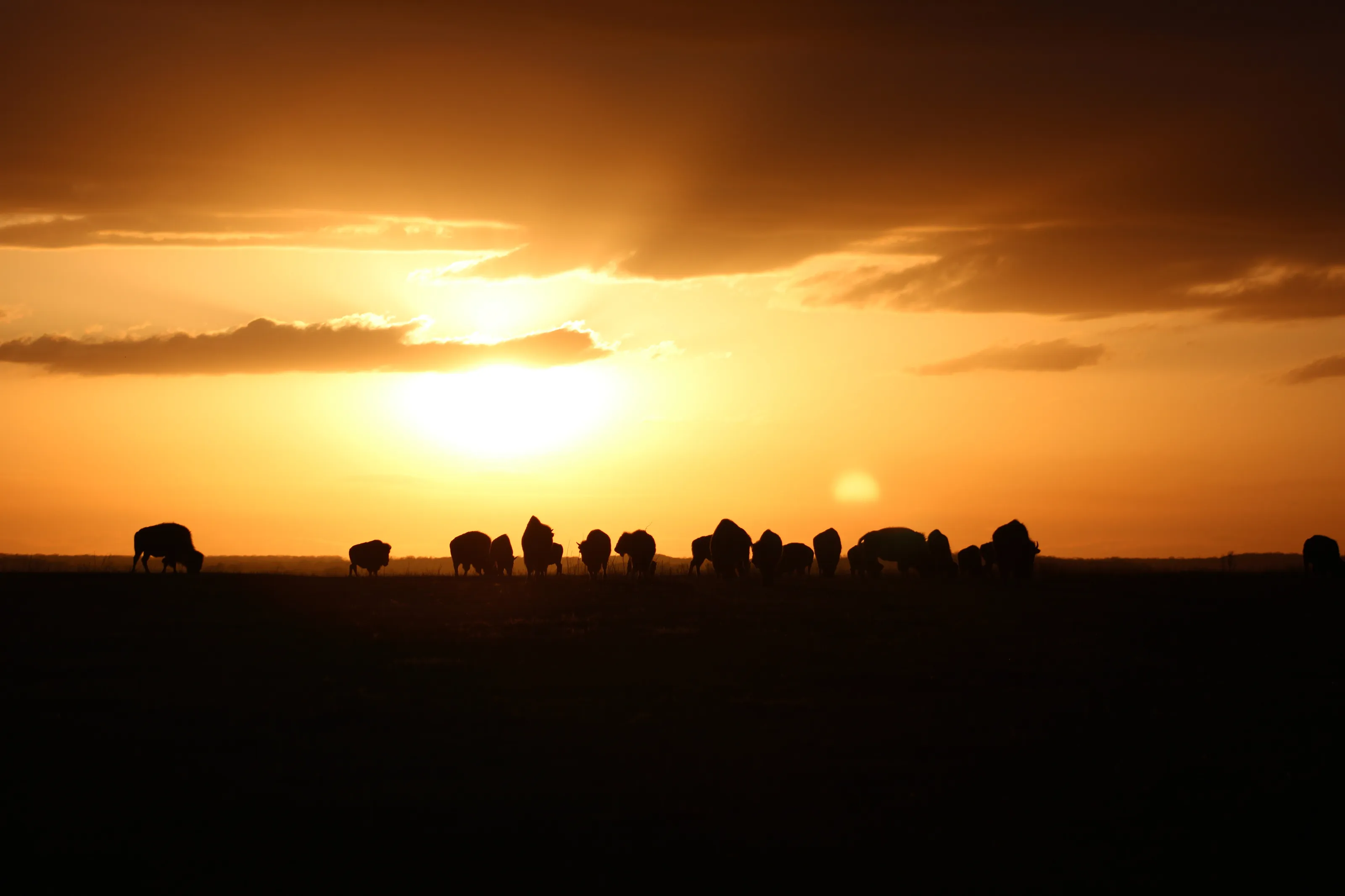 Prairie sunset
