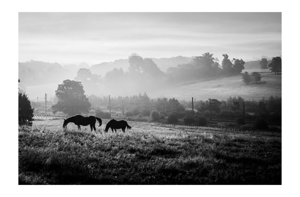 Mist