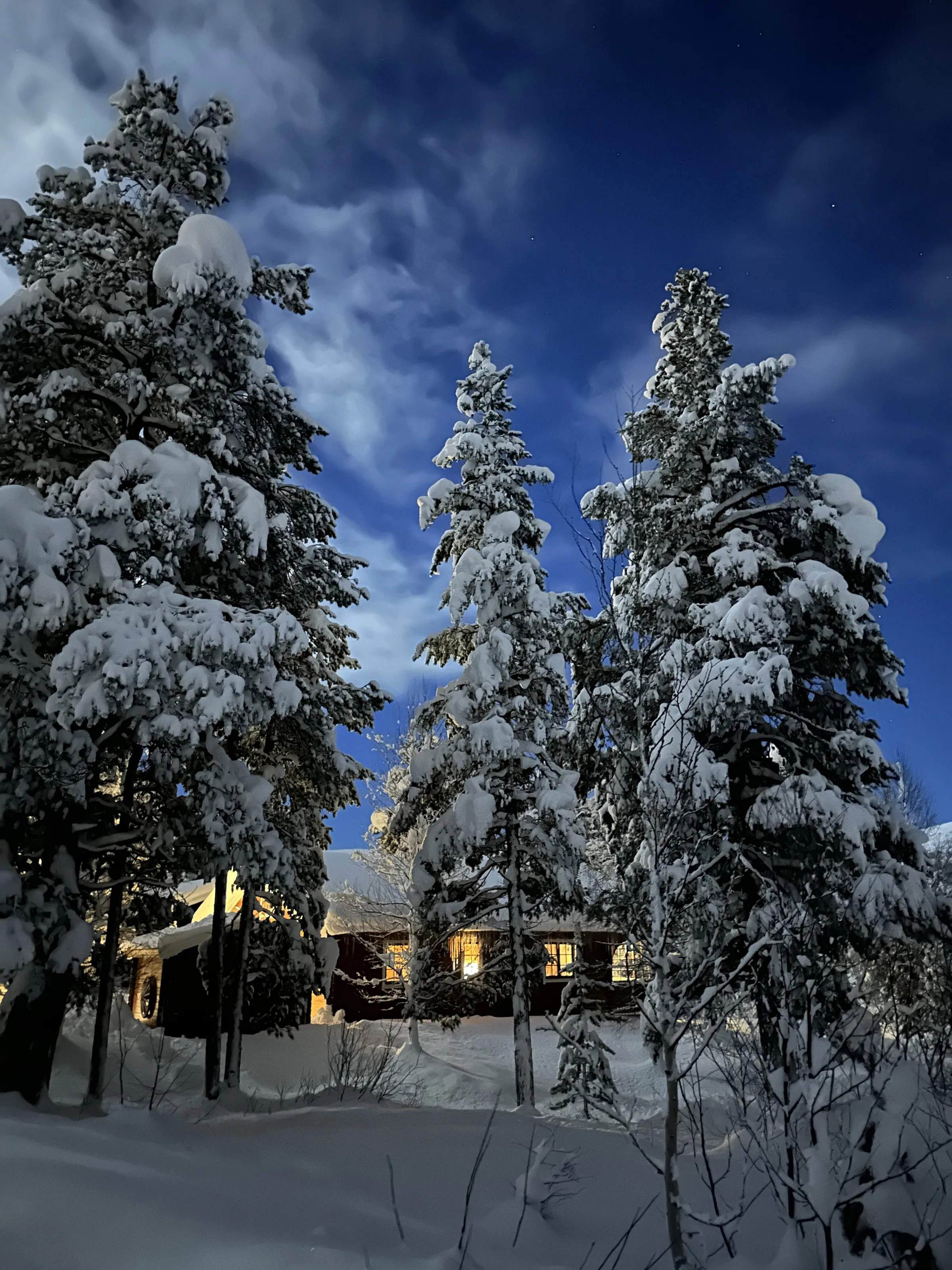 Winter up north