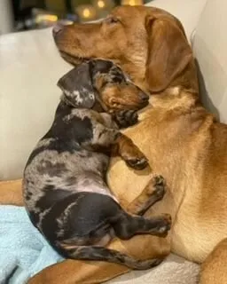 cuddling up