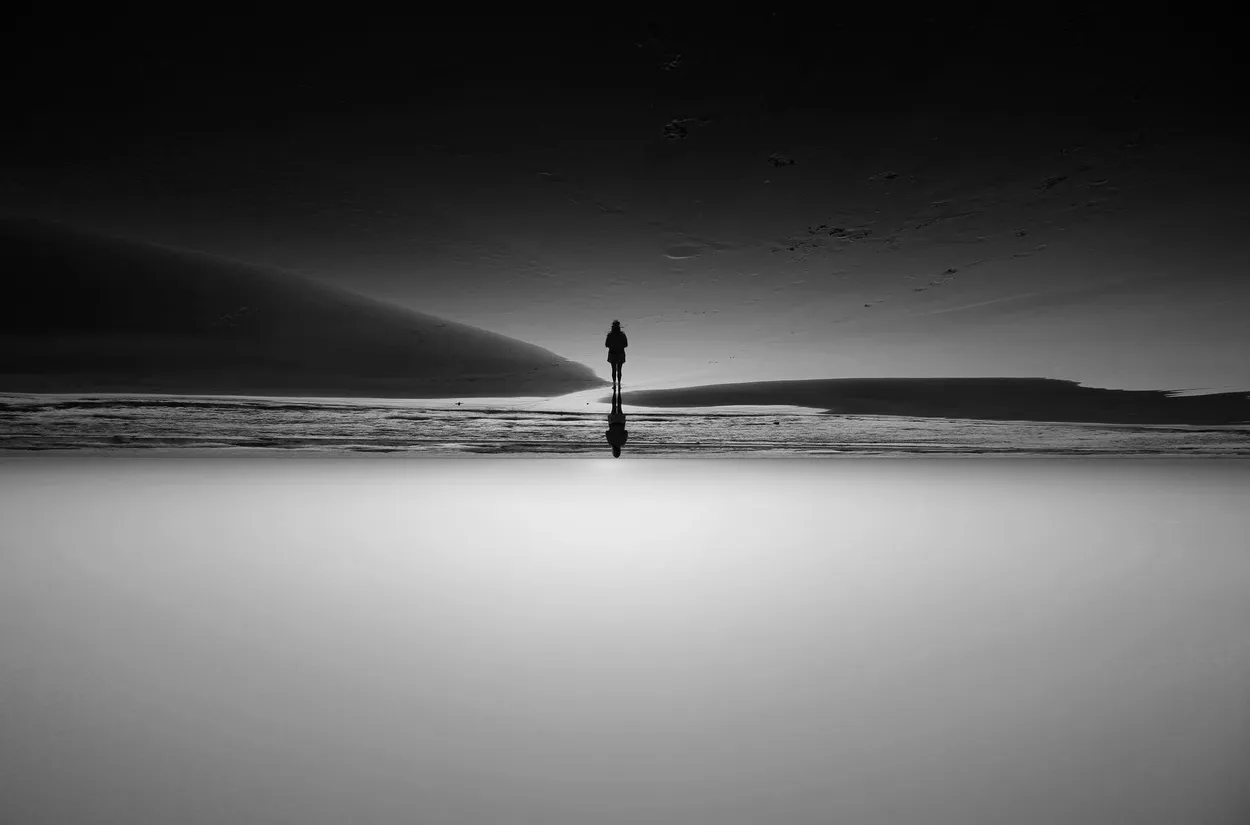 Entry 19991794