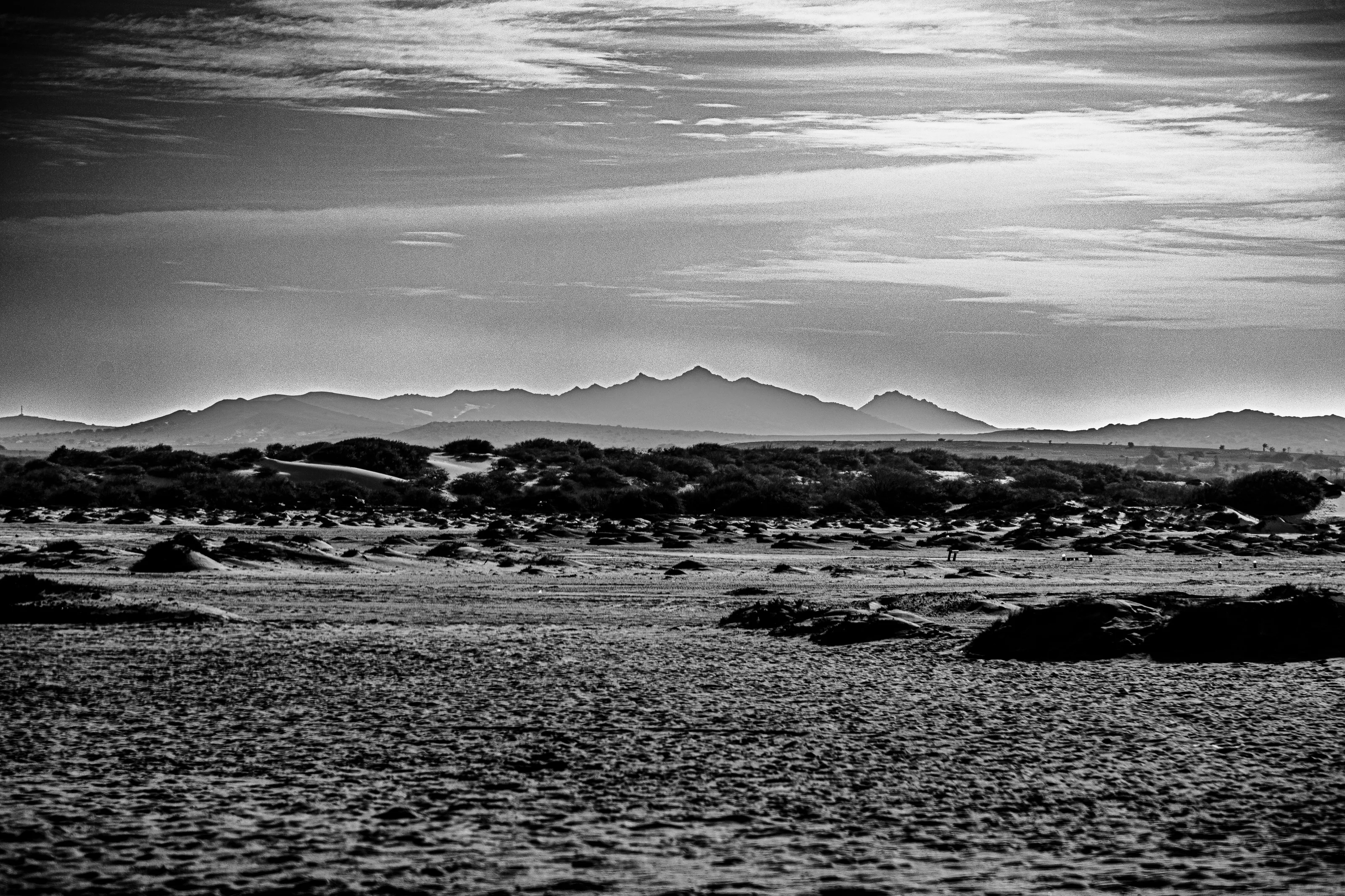Cape Verde,Boa Vista.03.03.2023.Canon 5D Mark IV.