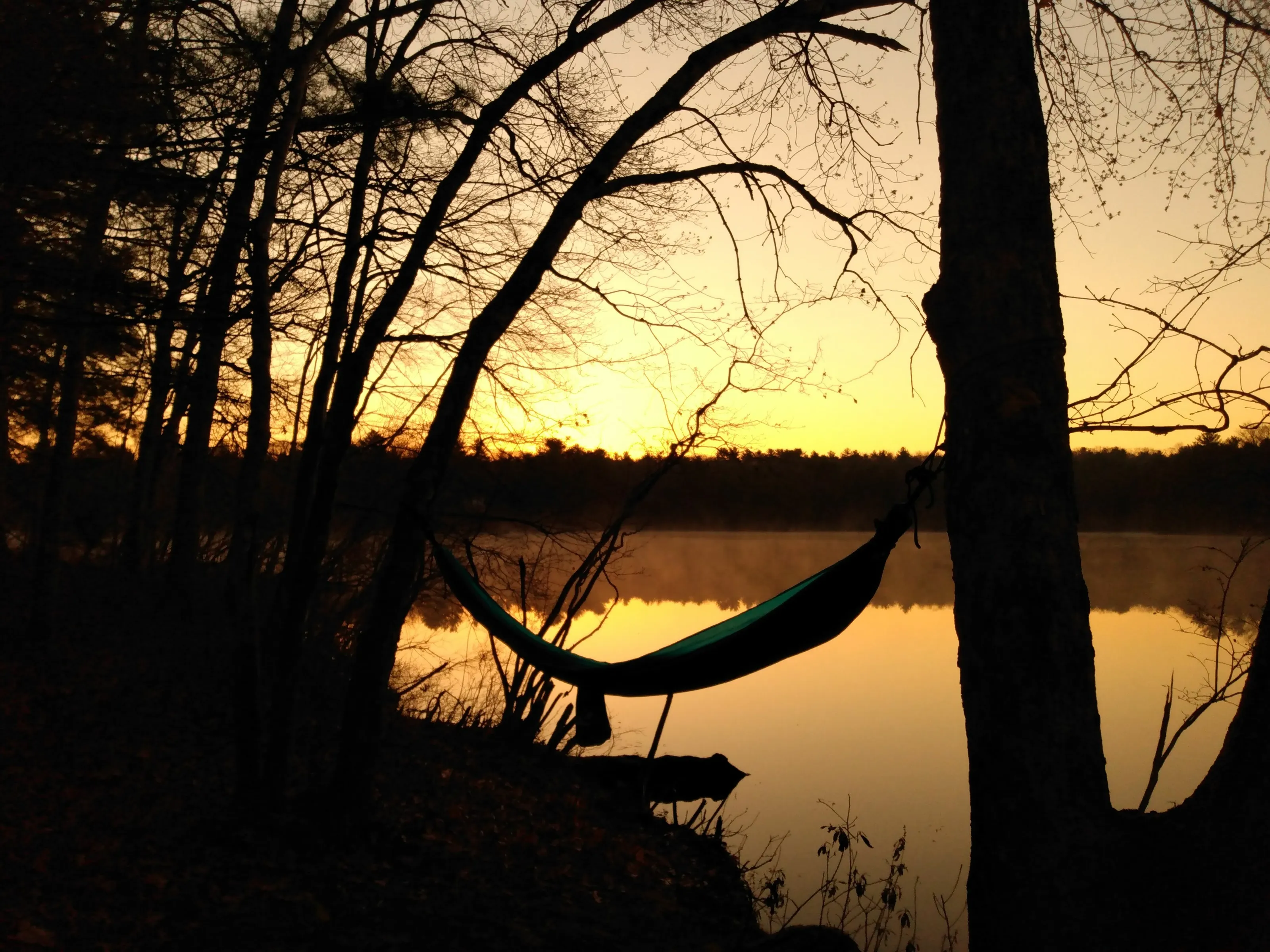 Restful sunset