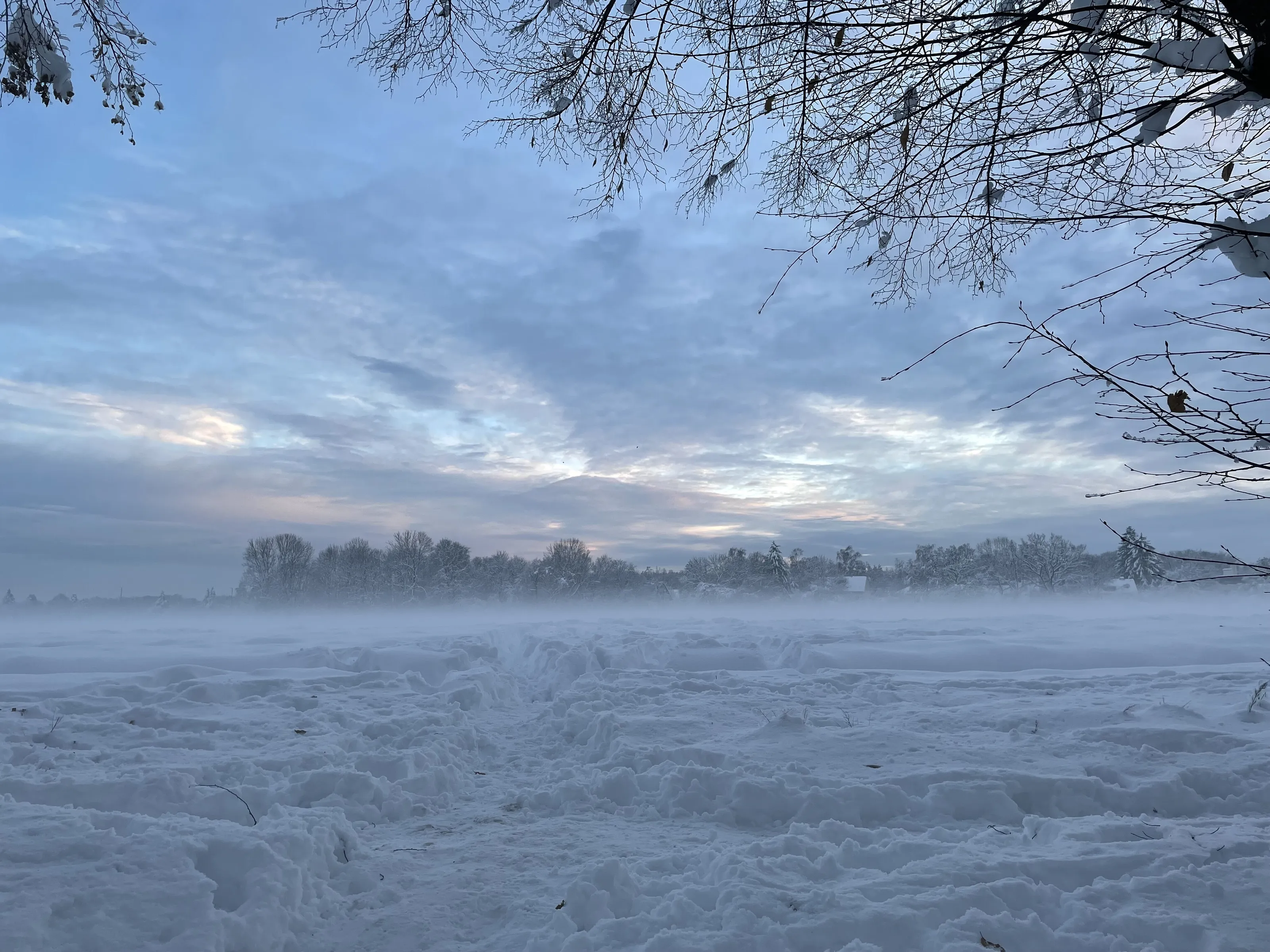 Blue Winter