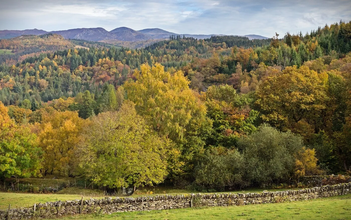 Autumn View