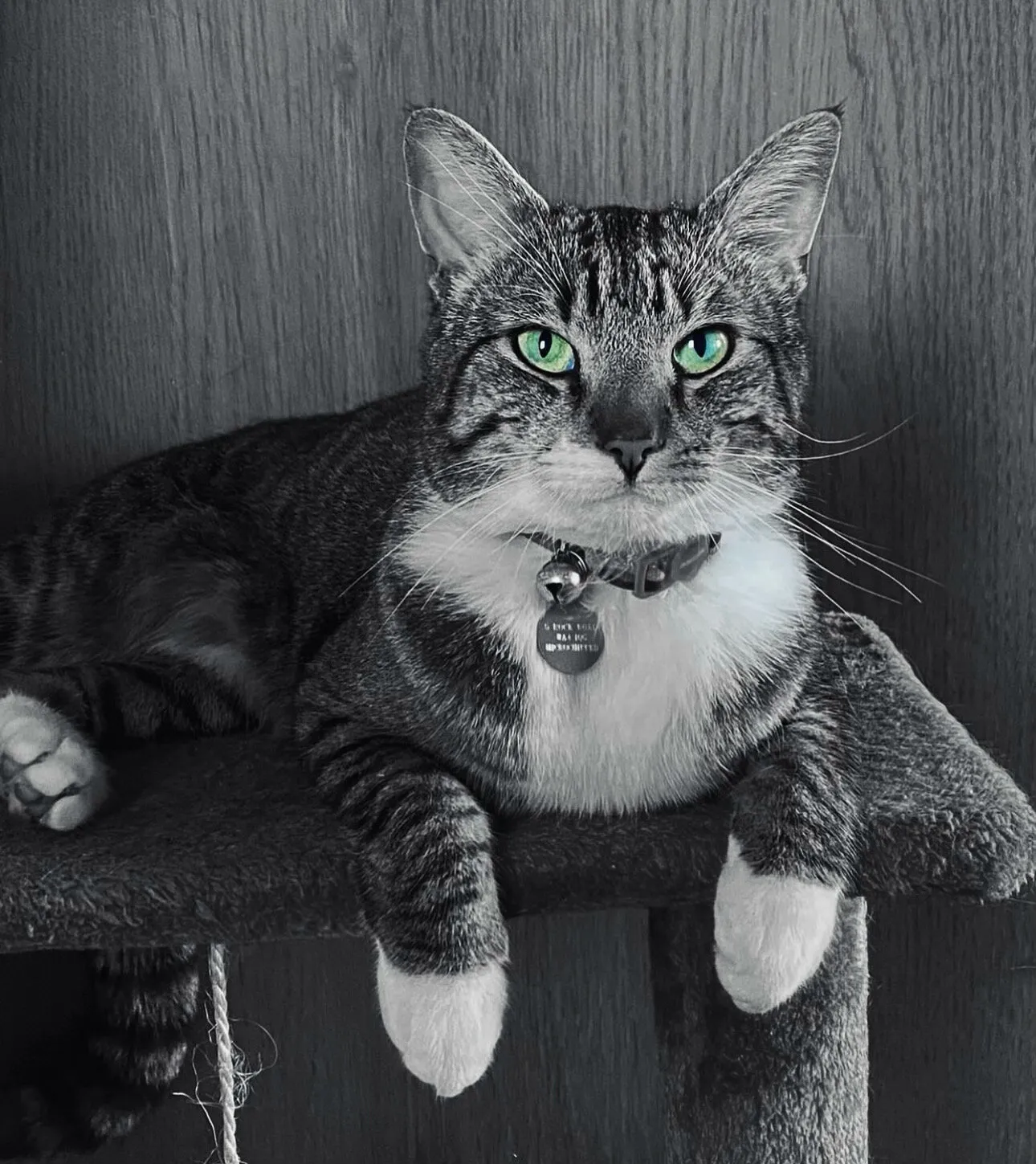 Majestic
