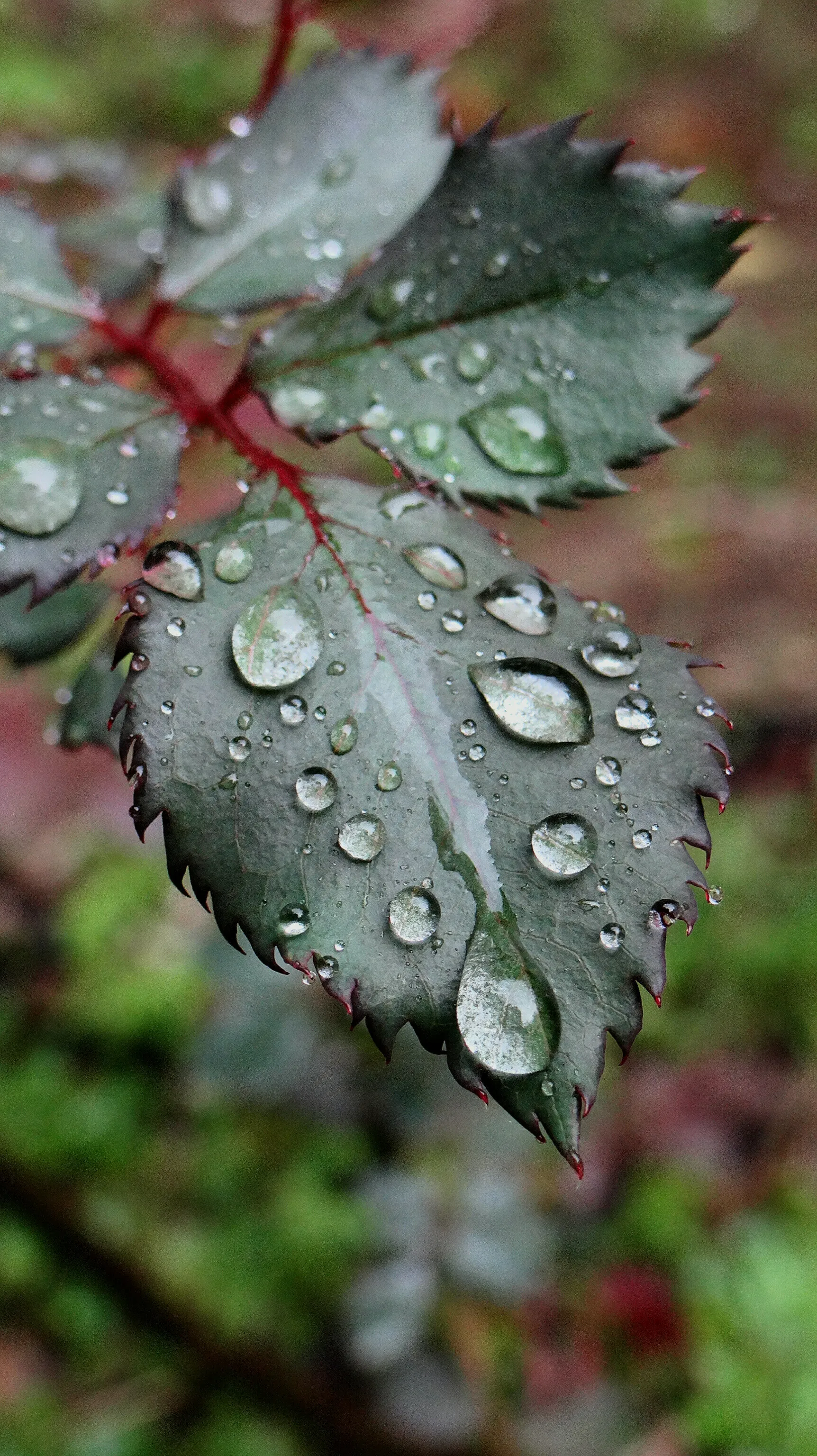 A rainy day